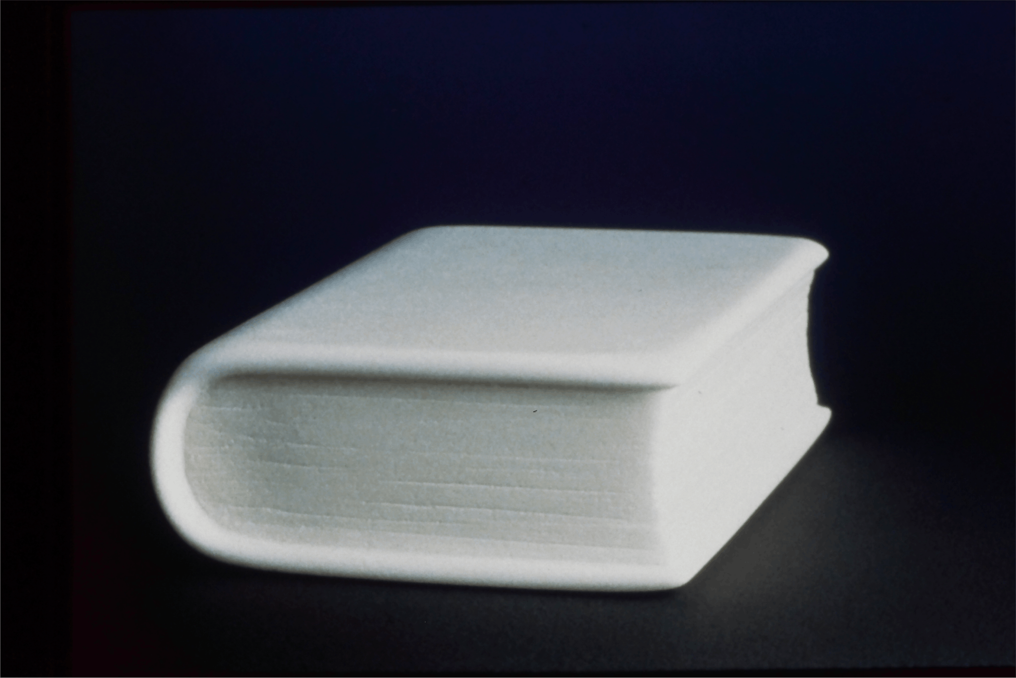 Pam Gazale, Closed book, 1996, salt, 5x10x8