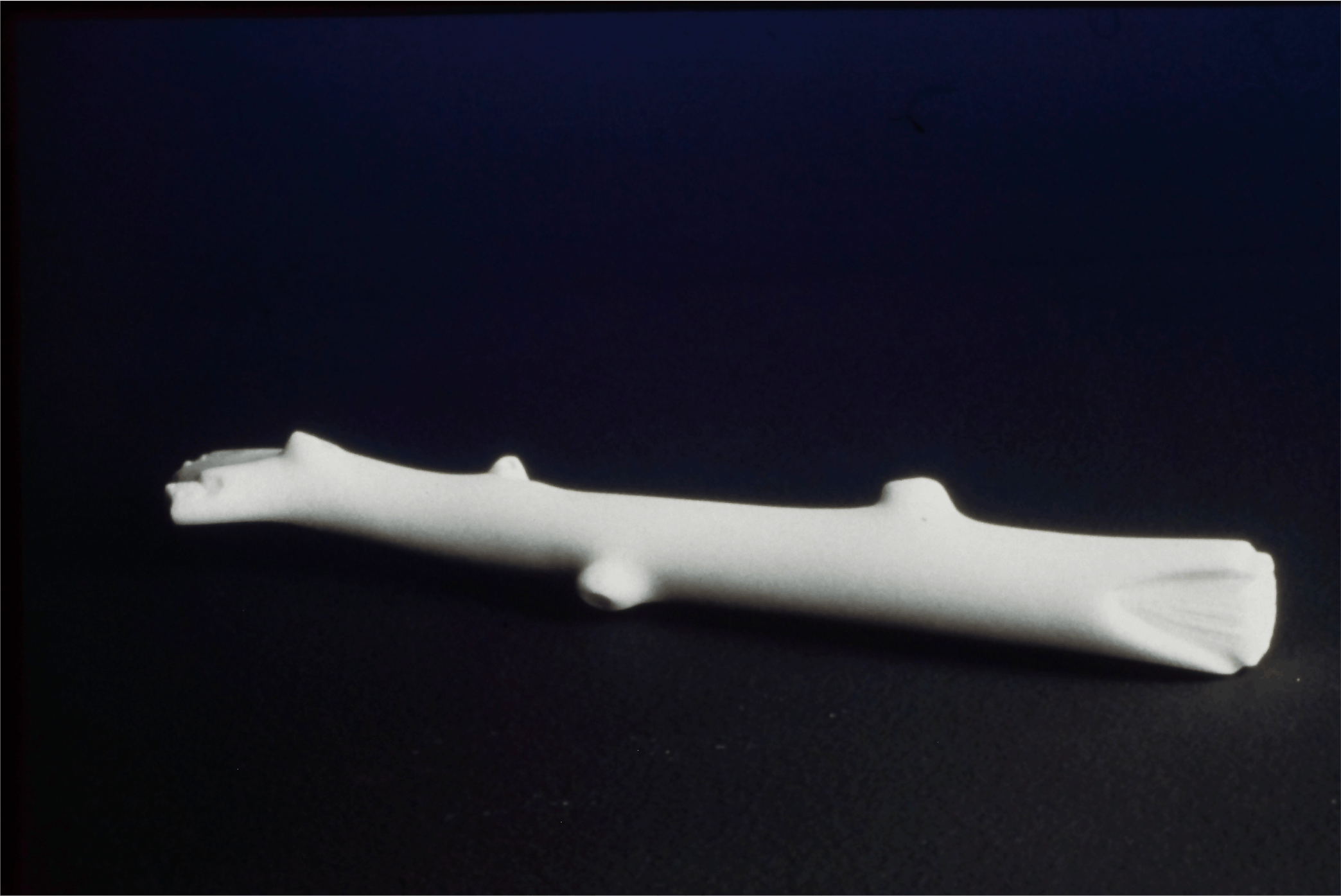 Pam Gazale, Branch, 1996, Salt, 1x11x1