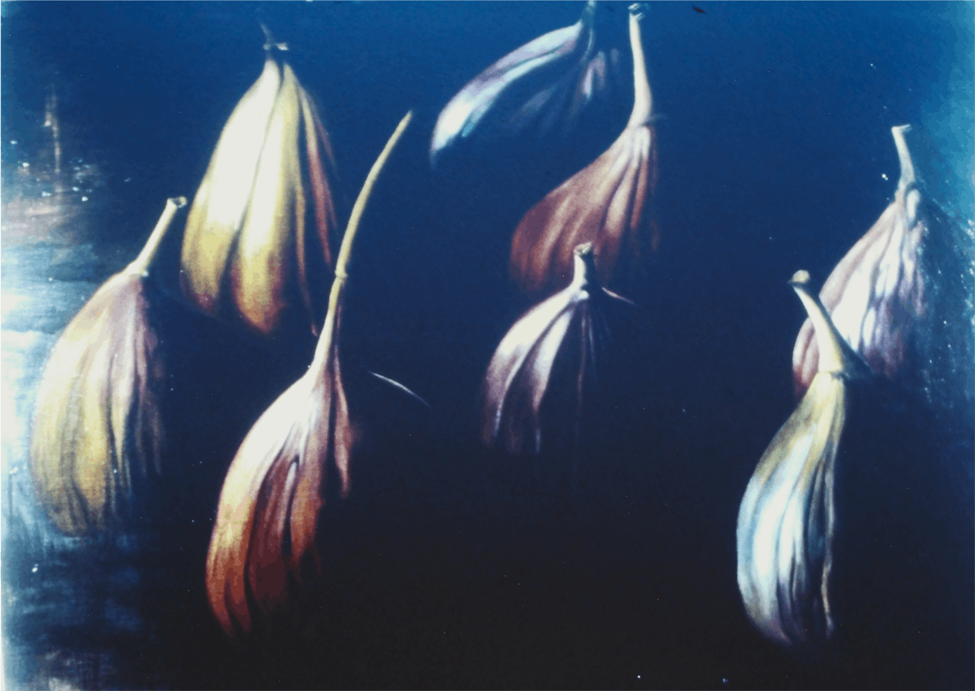 Scott Curry, Dark Refrain, 1994, oil on cnavas, 35x48