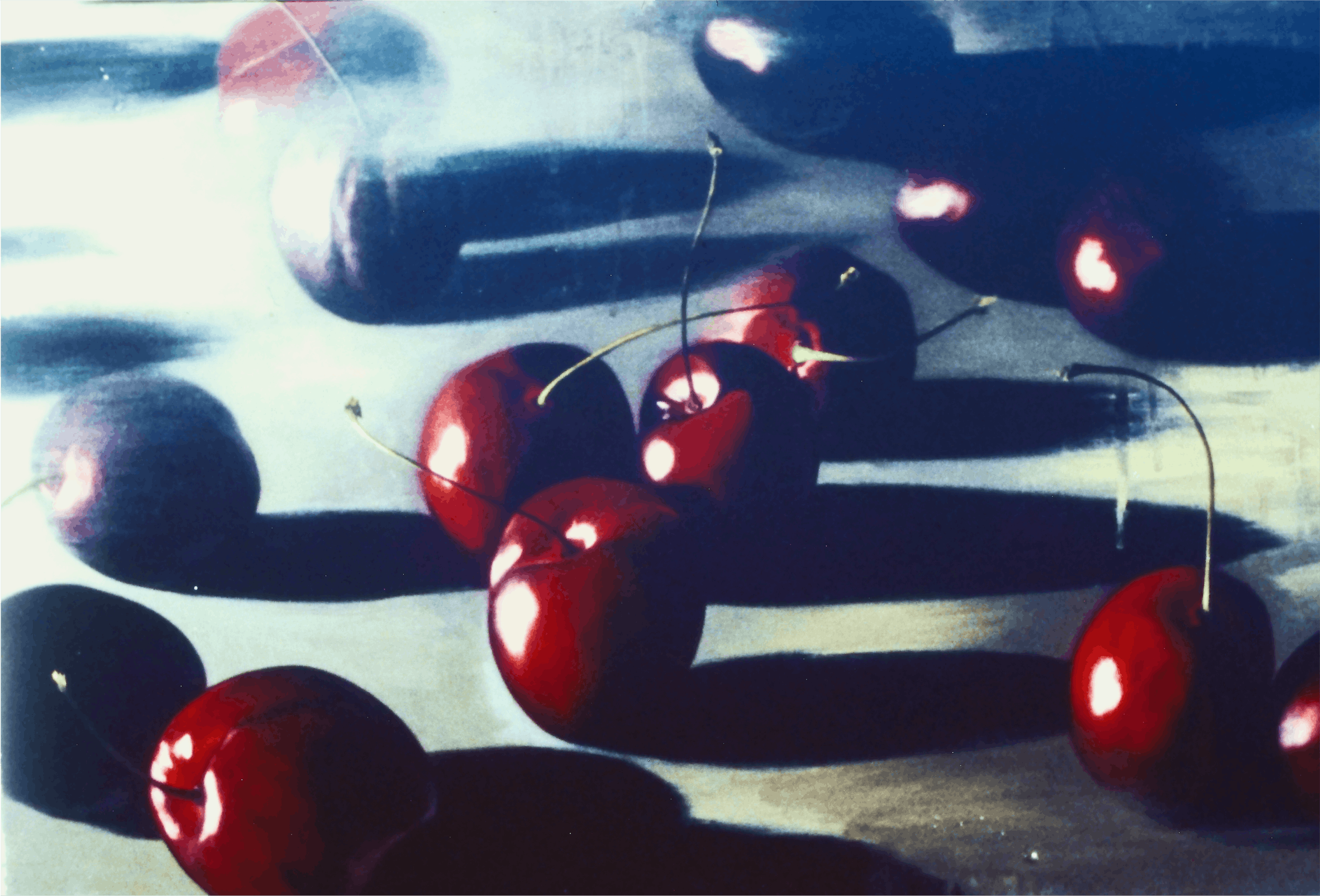 Scott Curry, Sweet Truth, 1995, oil on cnavs, 20x36