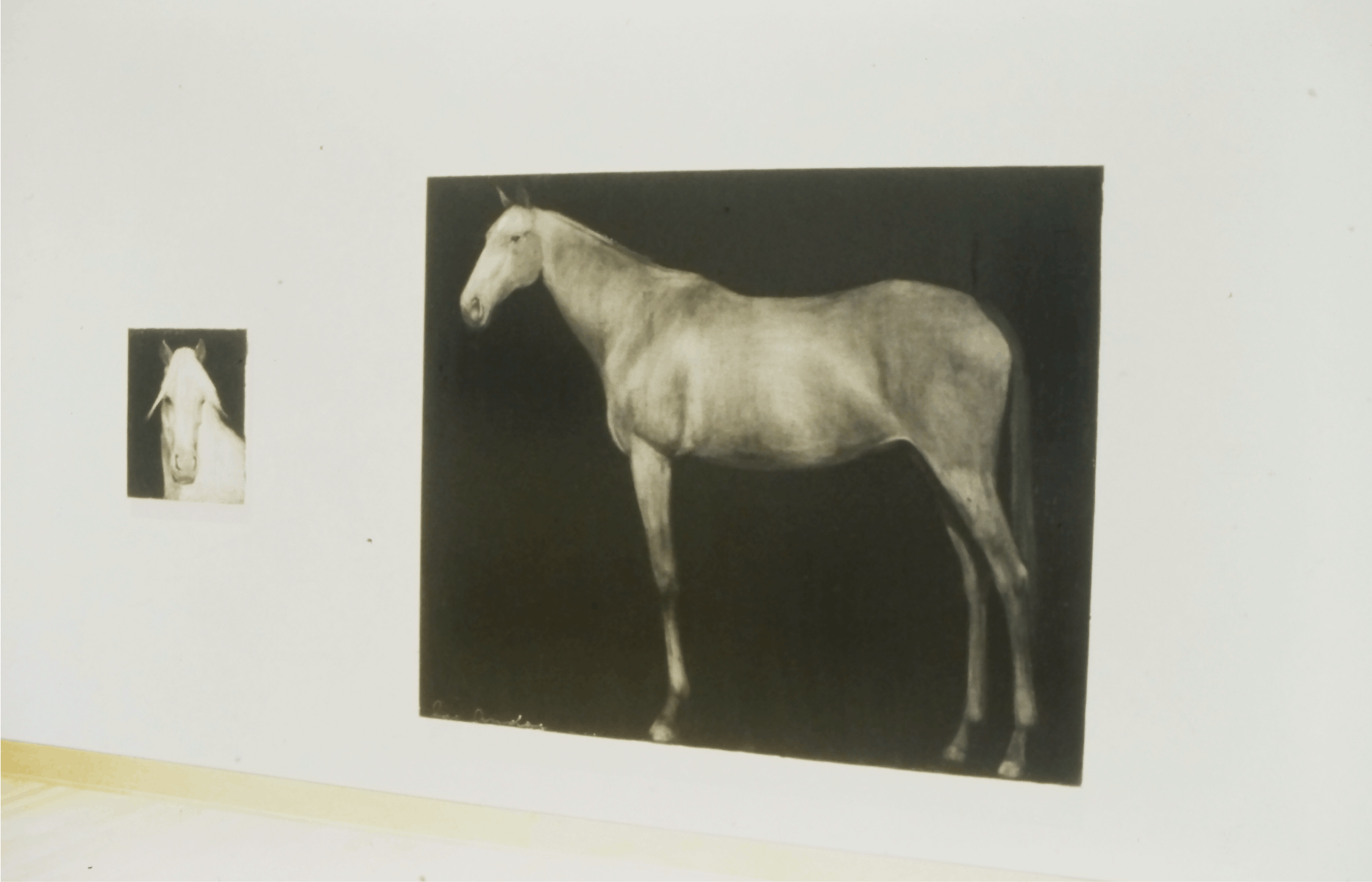 Joe Andoe, Untitled (Horse), 1993, oil on canvas, 70x84