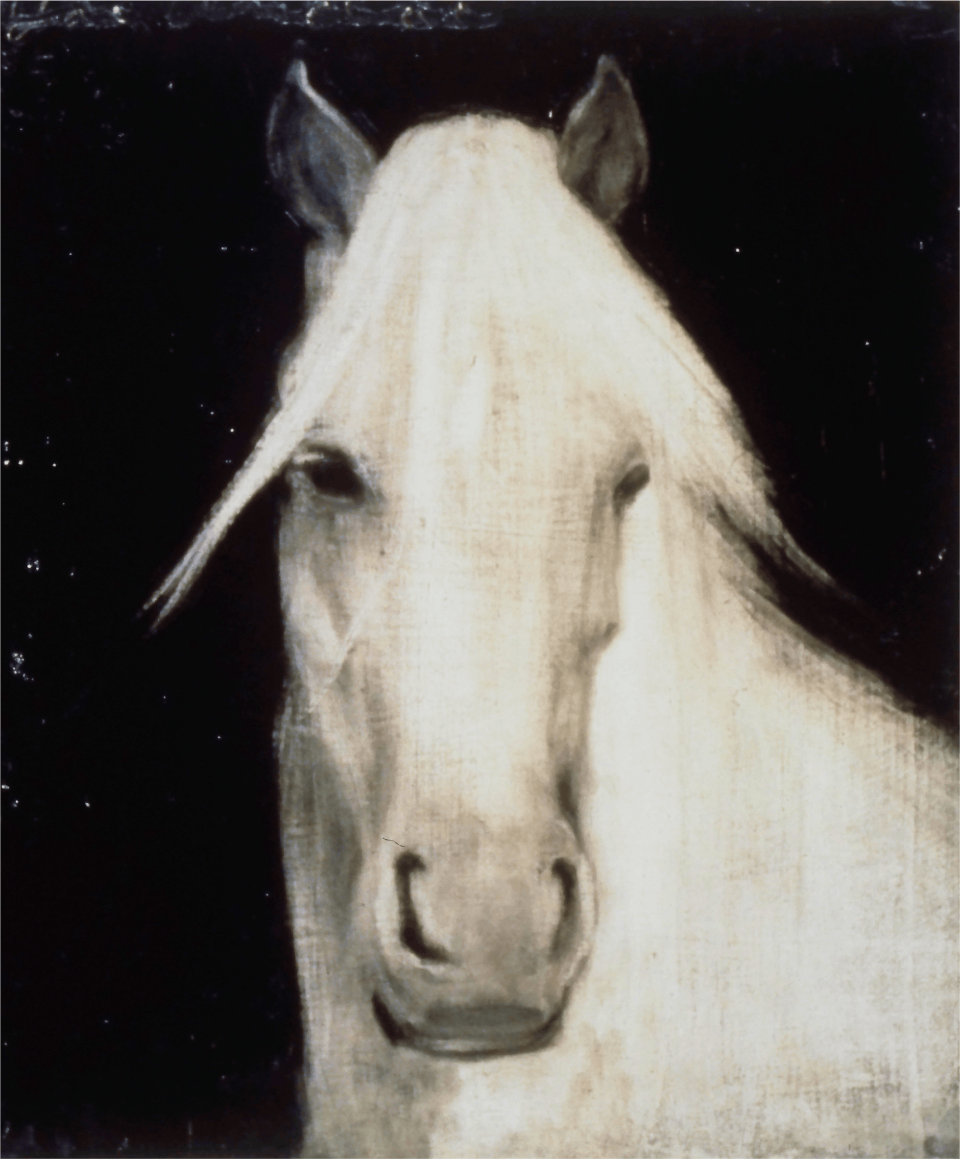 Joe andoe, Untitled (horse face), 1993, oil on canvas, 24x20