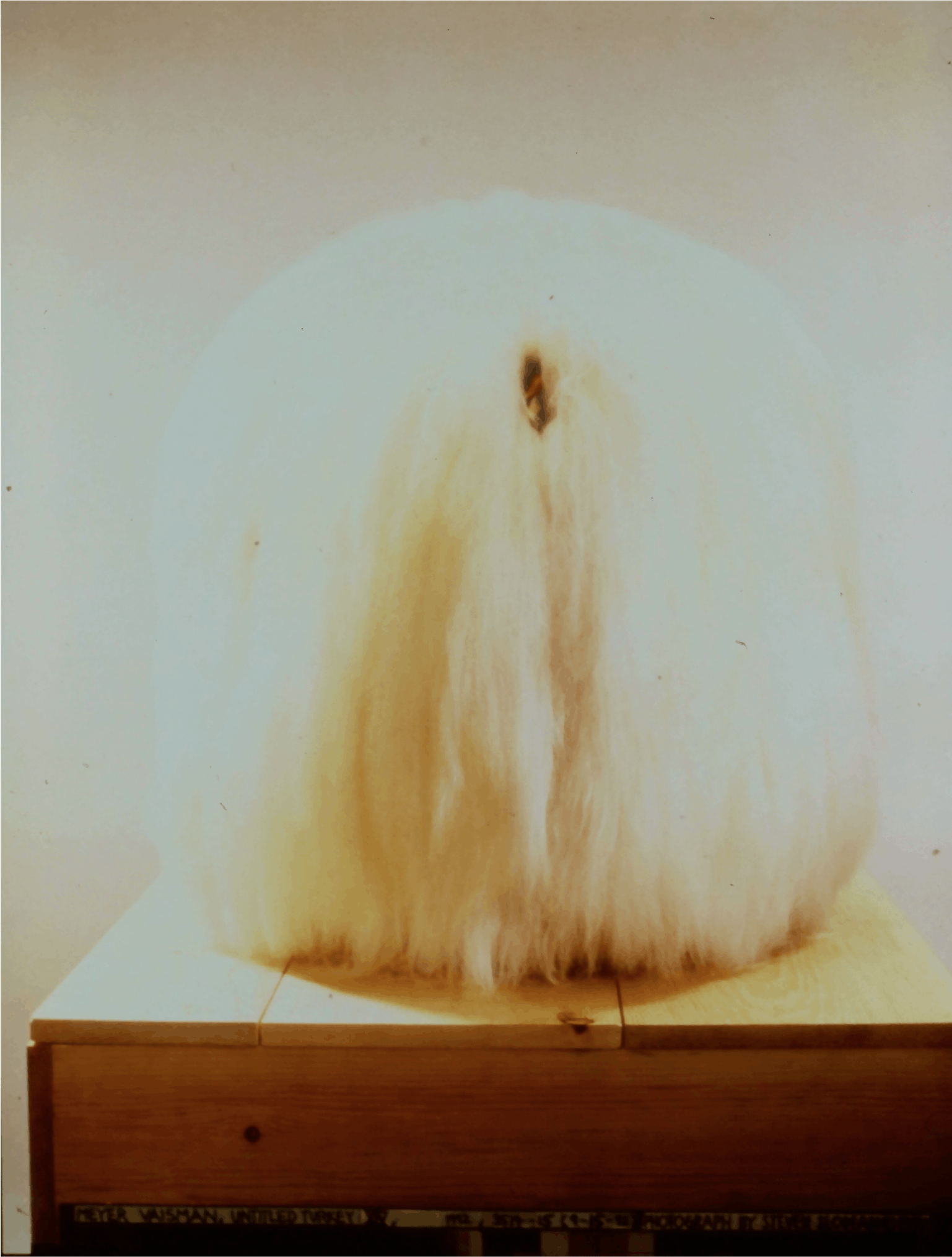 Meyer Vaisamn, untitled Turkey XIV, 1992, icelandic lambswool, chicken wire, stuffed Turkey, mixed media on wood, 63x30x31 with base