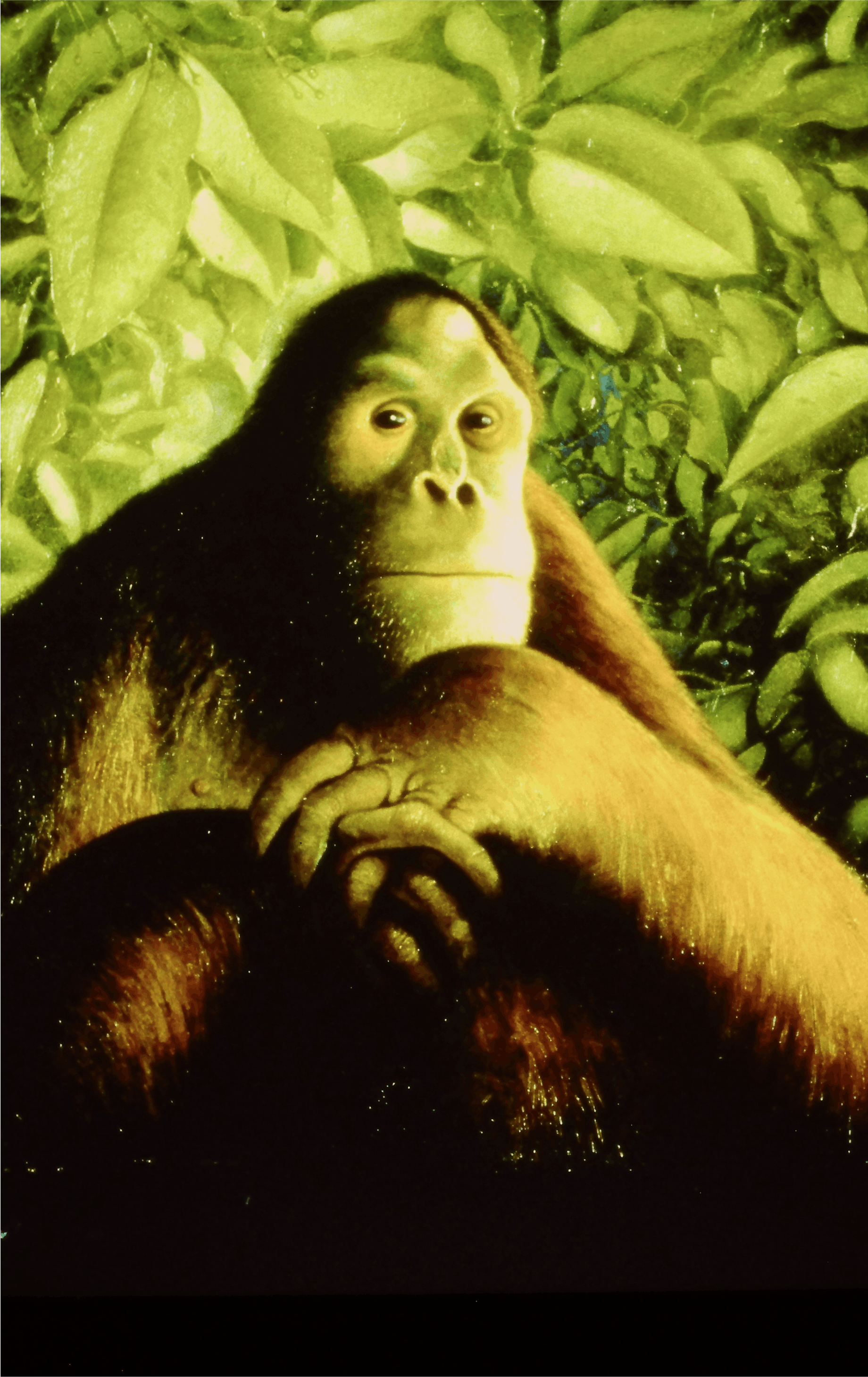 Peter Zokowosky, Man of the Forest, 1990, oil on panel, 19x14
