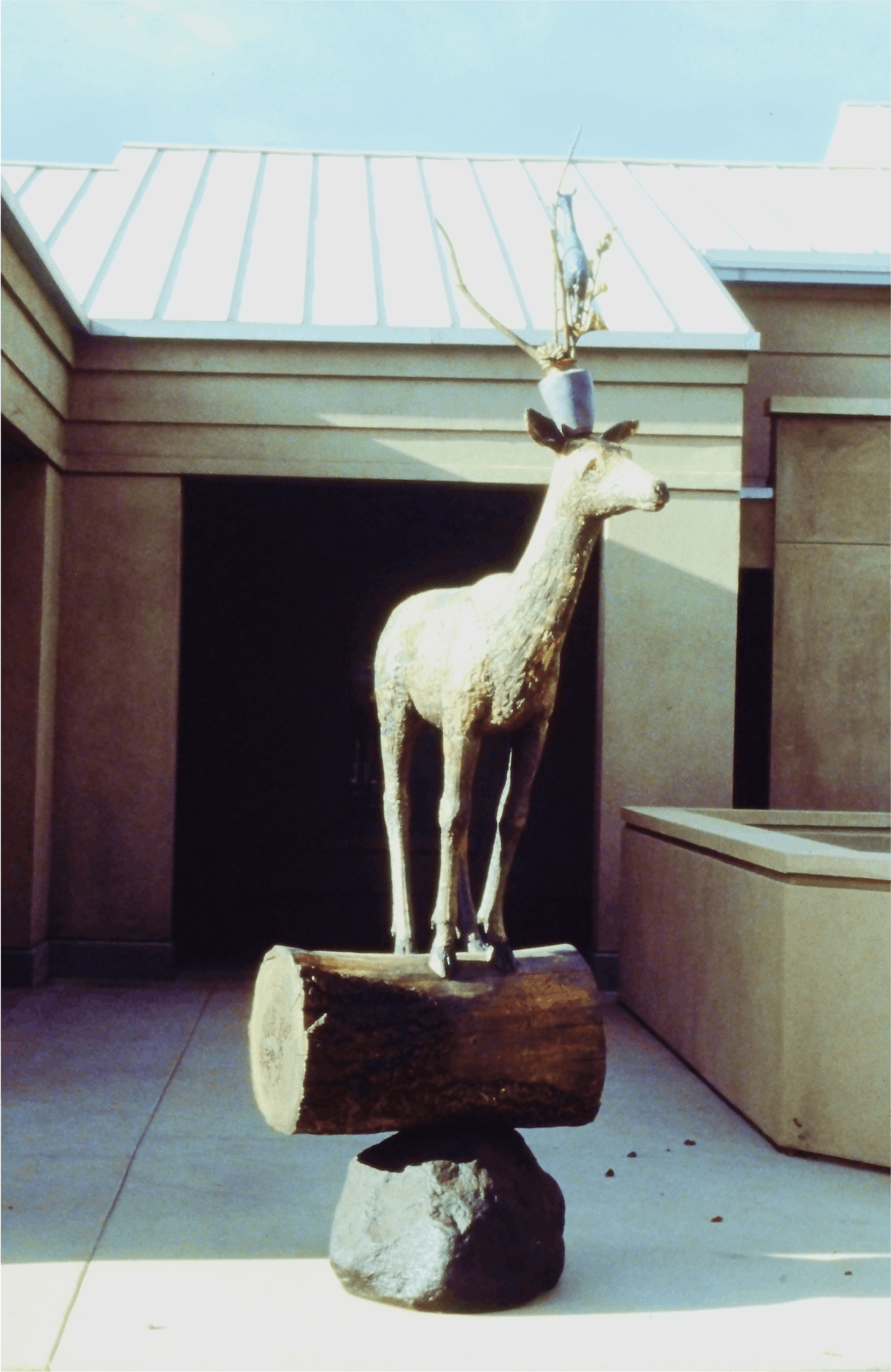 Wildlife exhibit 1994 (2)