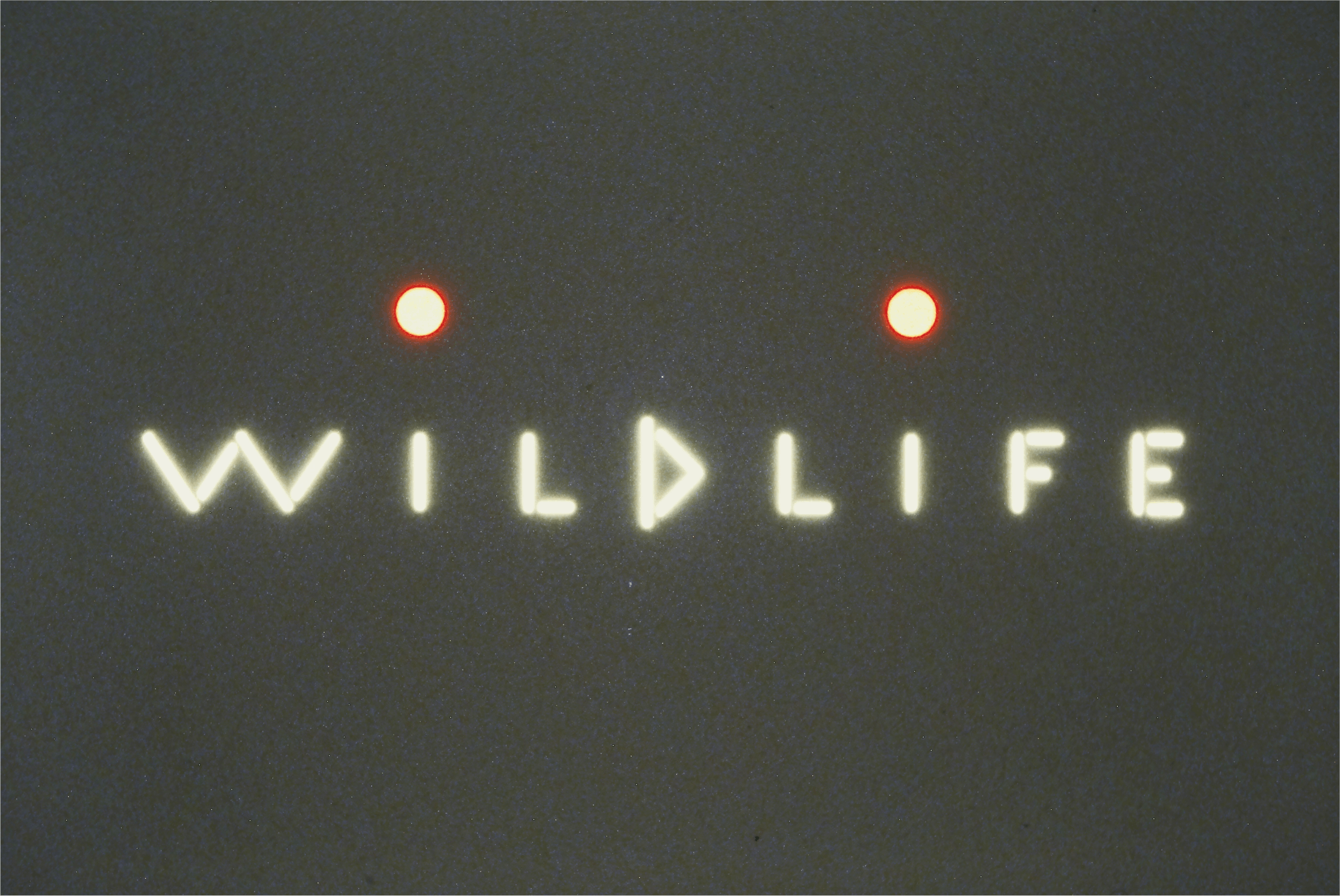 Wildlife exhibit 1994 (42)