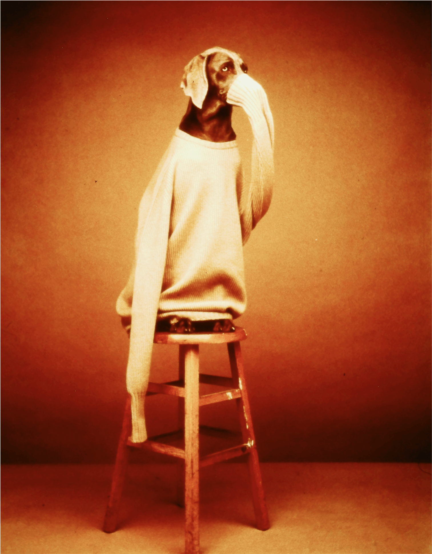 William Wegman, Oxygen, 1990, Polaroid, 24x20