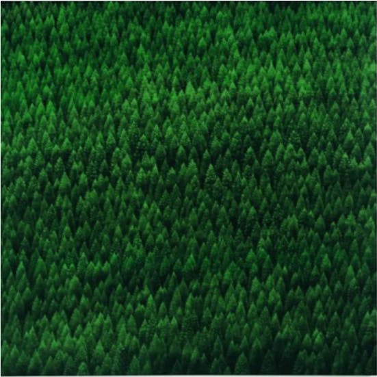 Astrid Preston, New Growth, 2001, oil on canvas, 84 x 72"