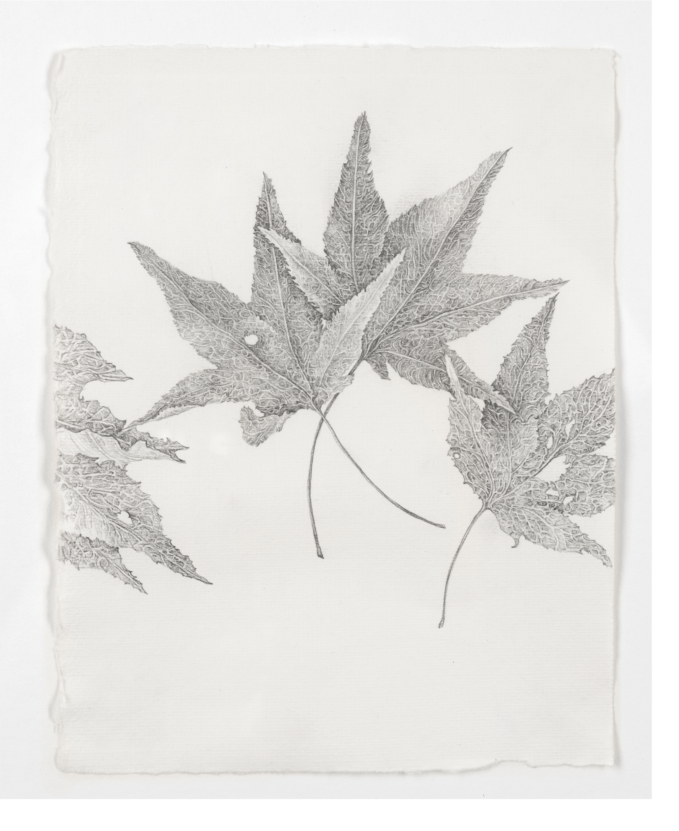 art image