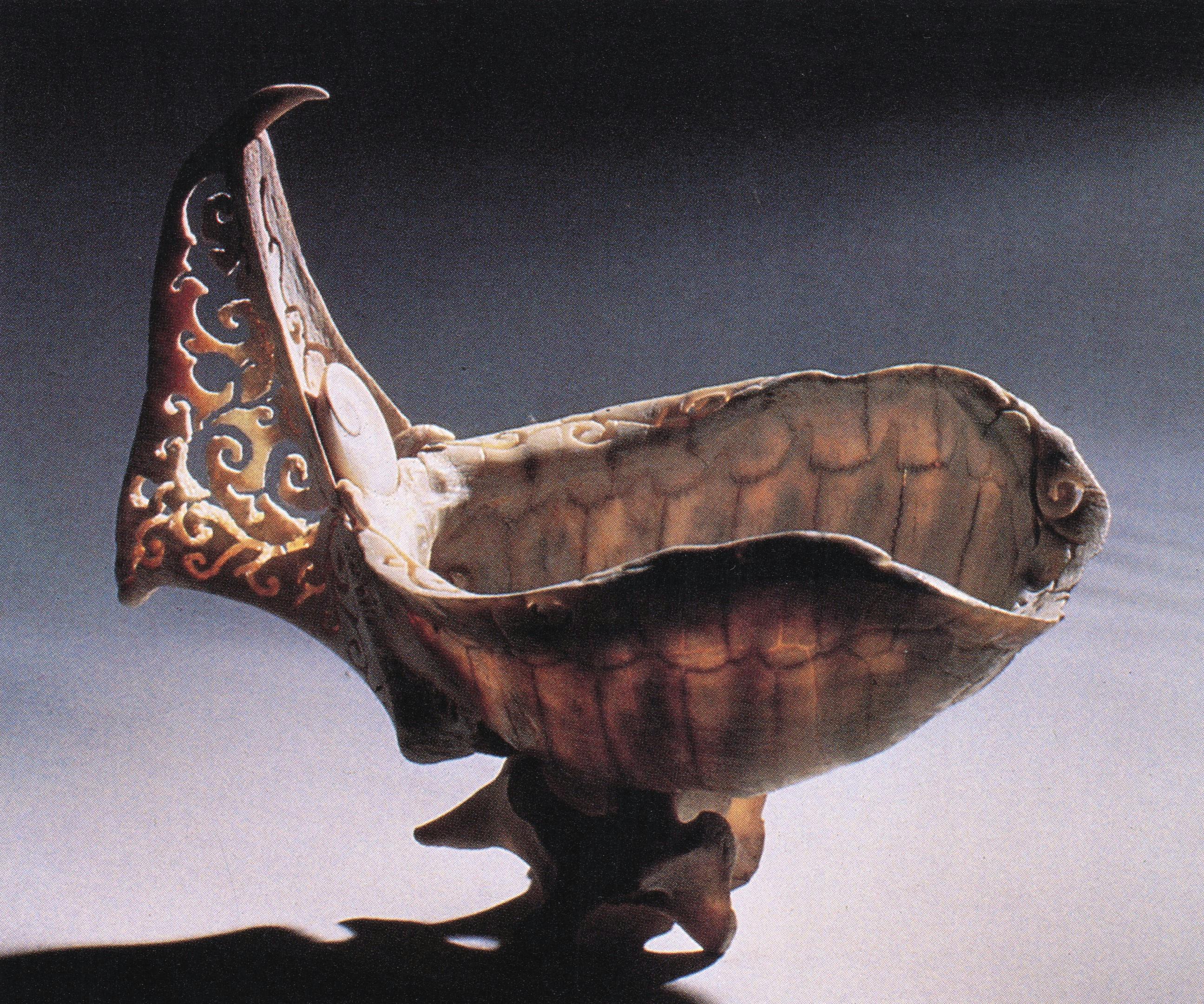Sarah Perry, C5, 1995, Tortoise shell and bone, 6 x 7 x 4 inches