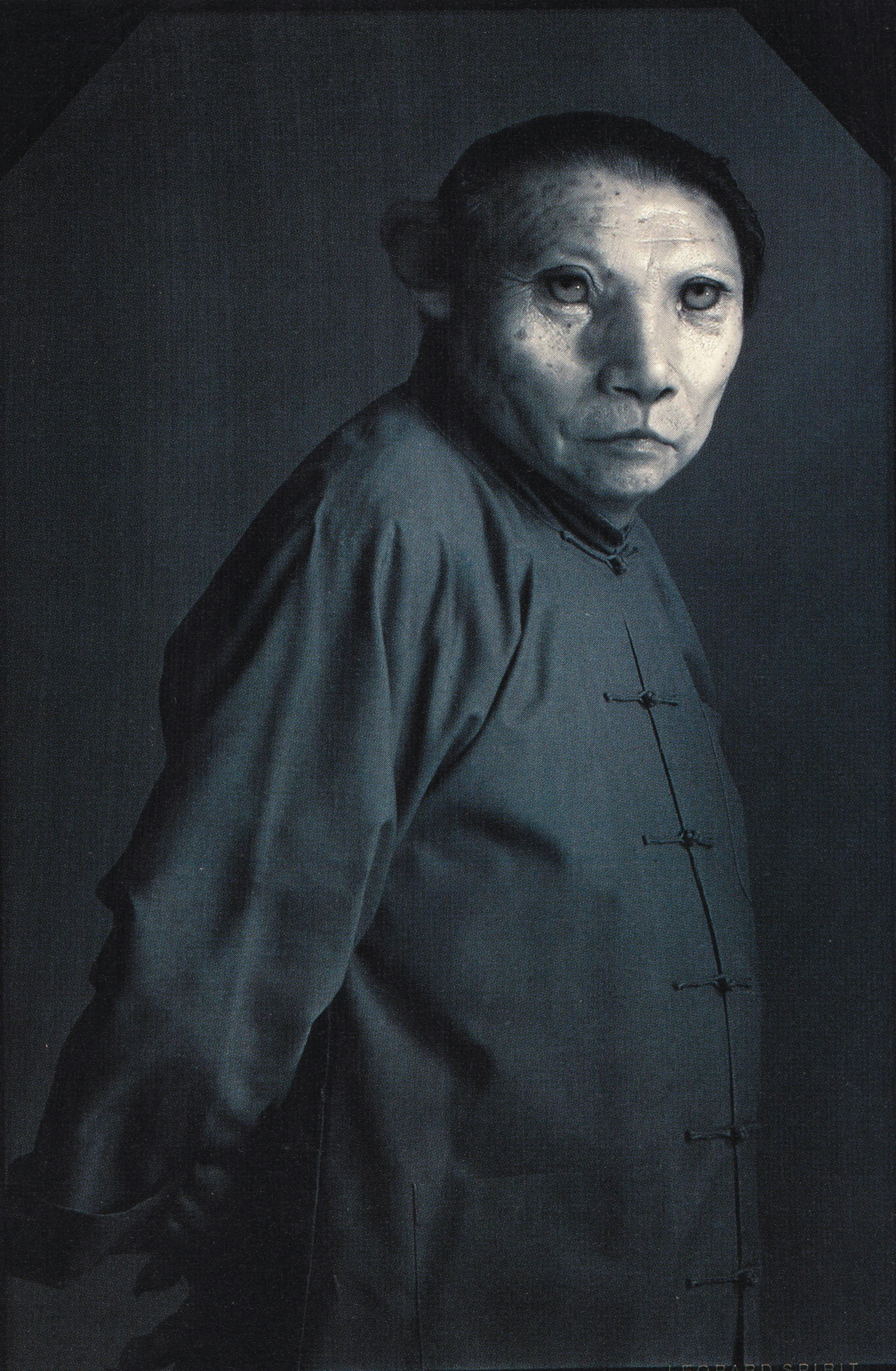 Daniel Lee, Juror No 6 (Leopard Spirit), 1994, digital inkjet printer, edition 4 of 6, 53 x 35 inches