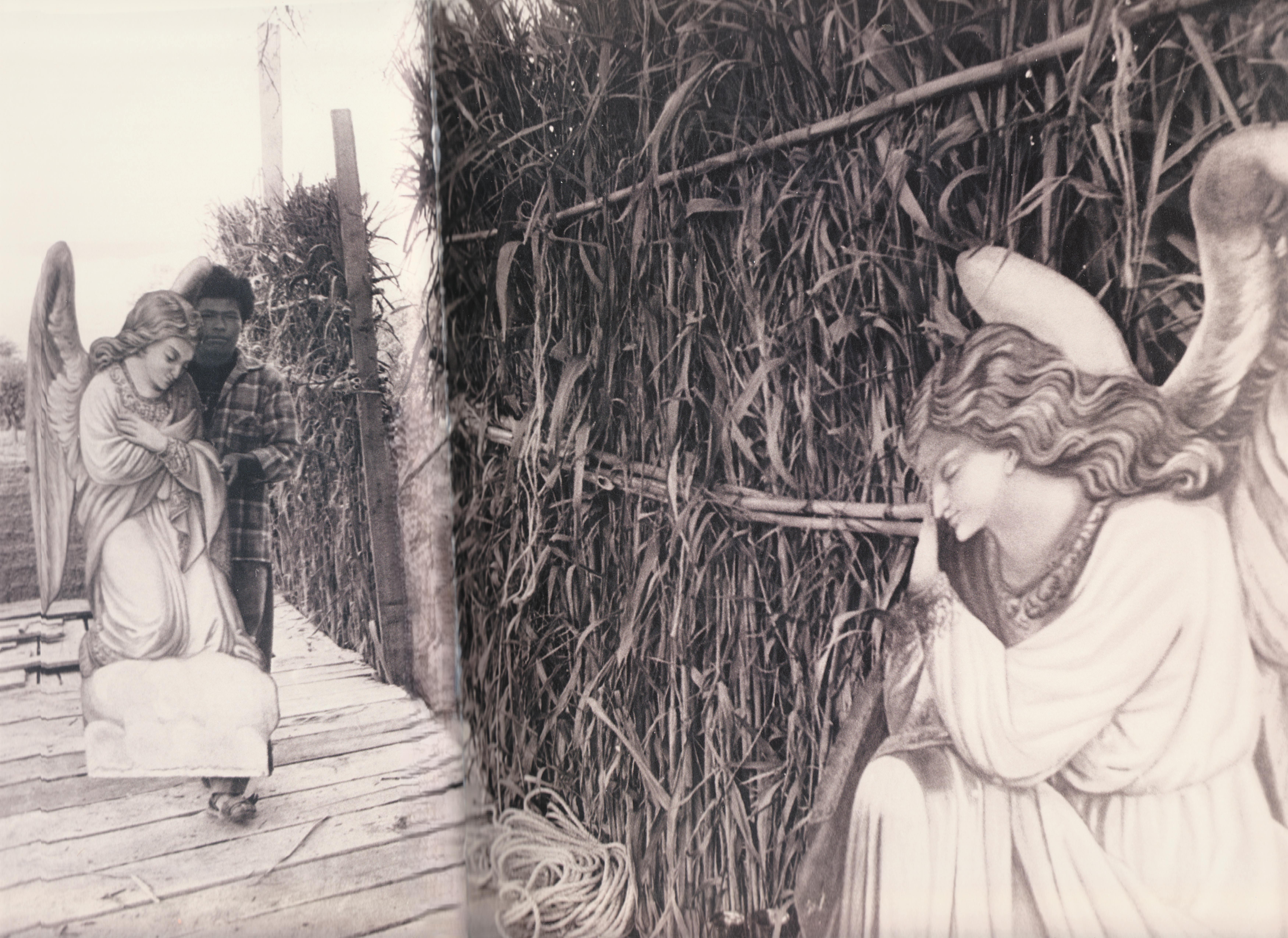 Graciela Iturbide, Cemeterio_Cemetery, Chilac, 1992, gelatin silver print, 26 x 39 inches