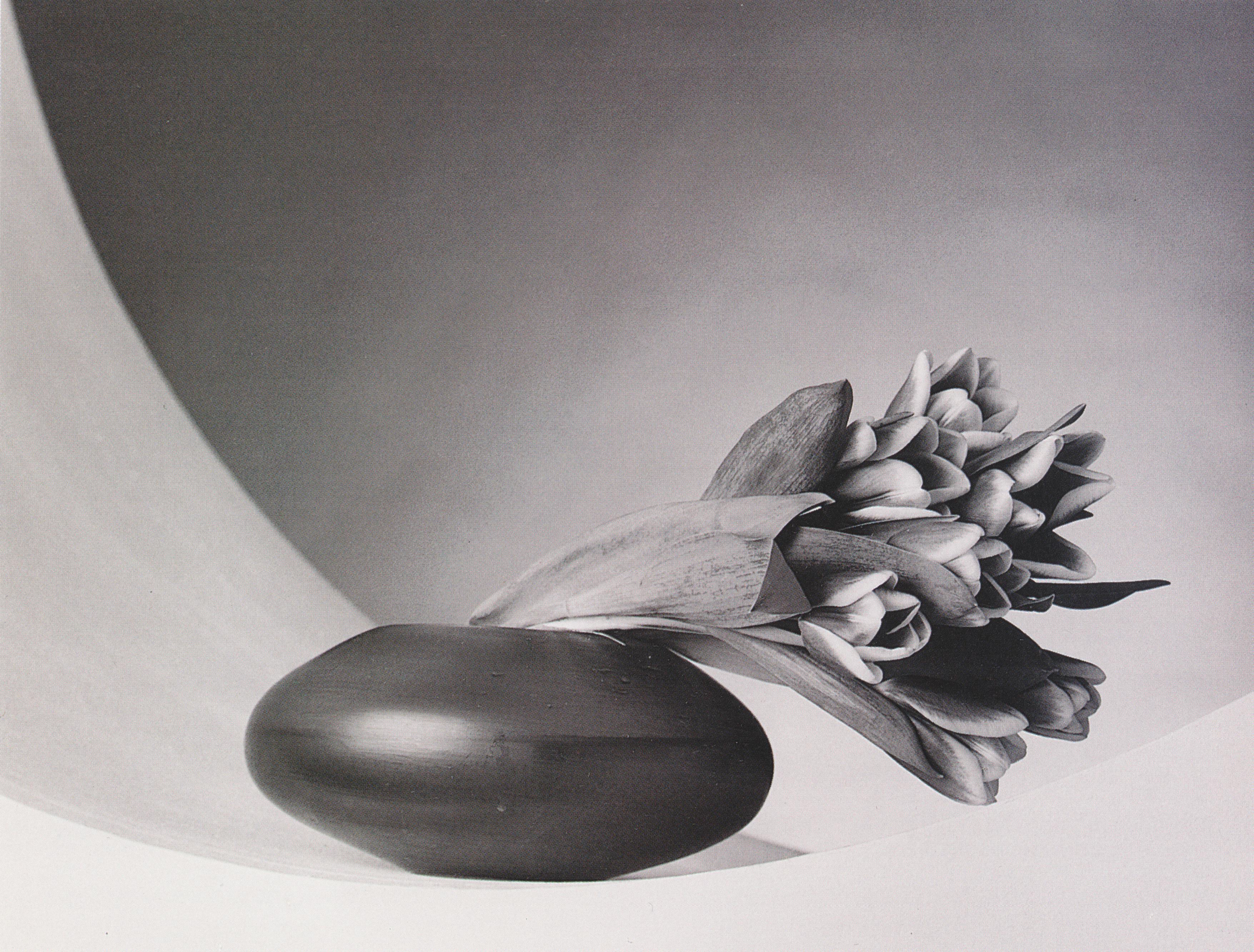 Robert Mapplethorpe, Tulips, 1987, Gelatin silver print, 20 x 24