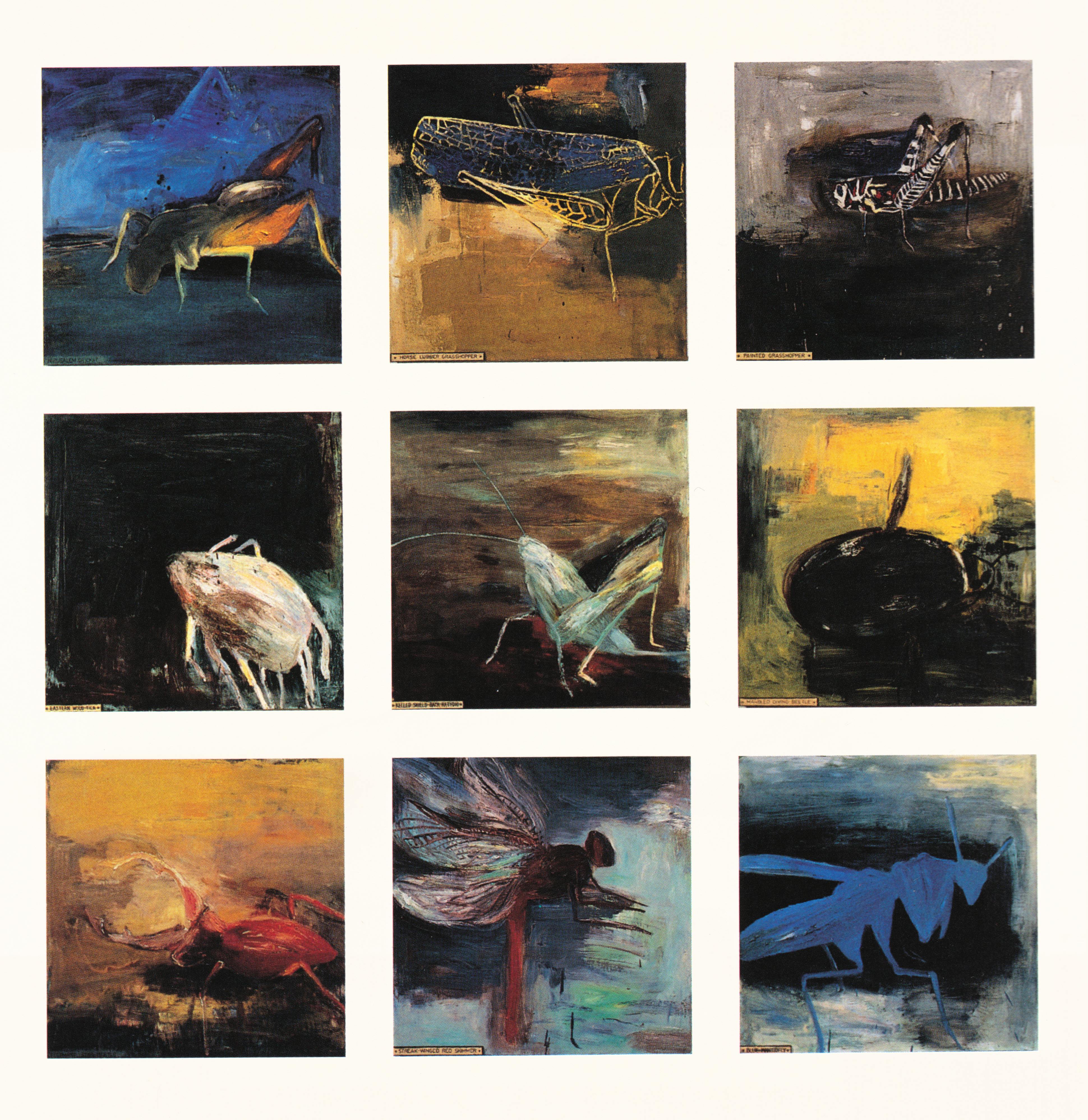 Richard Baker, Jerusalem Cricket, 1992; Horse Lubber Grasshopper, 1992; Painted Grasshopper, 1992; Eastern Wood Tick, 1991; Keeled Shield-back Katydid, 1991; Marbled Diving Beetle, 1991; Elephant Stag Beetle, 1992; Streak-Winged Red Skimmer, 1991; Blue Mantidfly, 1991, oil on board, 24 x 24 inches each