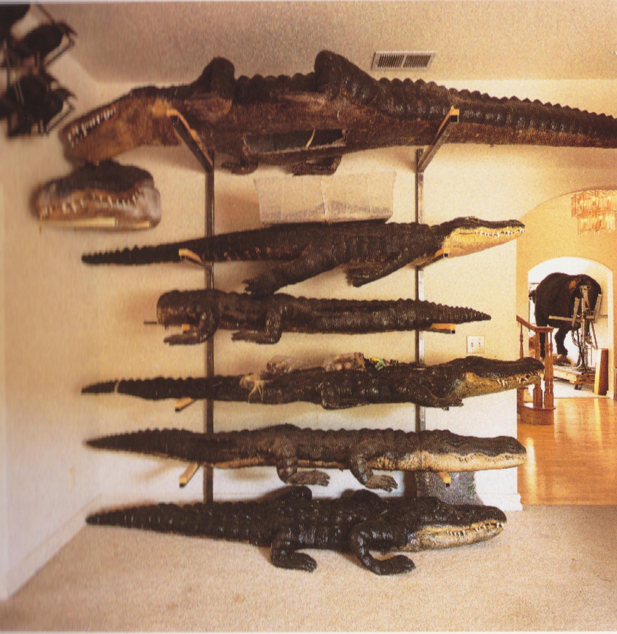 Richard Ross, Taxidermy Shop Alligators, Woodland Hills, California, 1992,Color Photograph, 30 x 30 inches