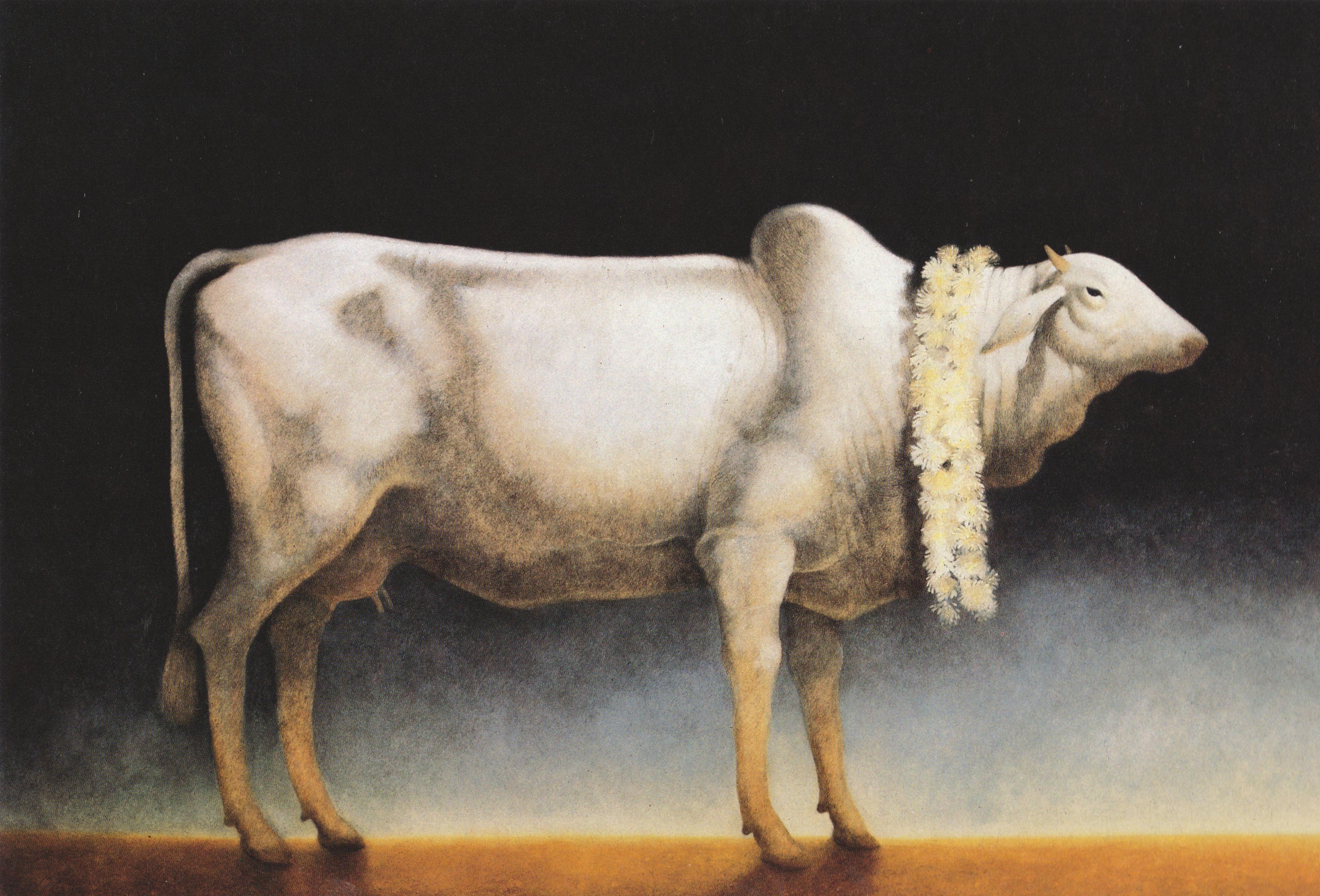 Peter Zokosky, Brahmin with Garland, 1990, oil on canvas, 45 x 65  inches