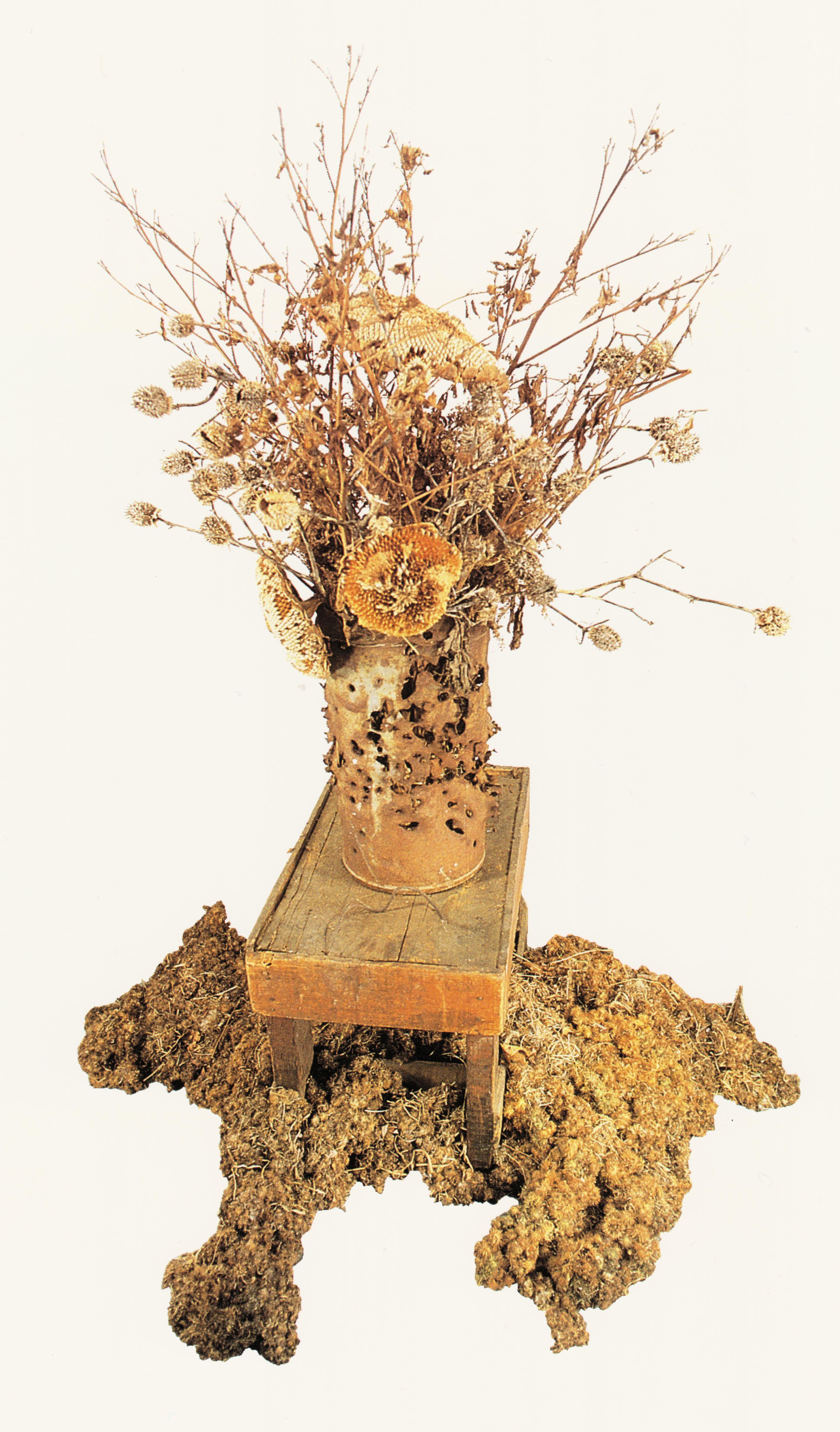 Vladimir Urban, Vanitas, 1990, Burdock, Potpourri, and found objects, 66 x 50 x 36 inches