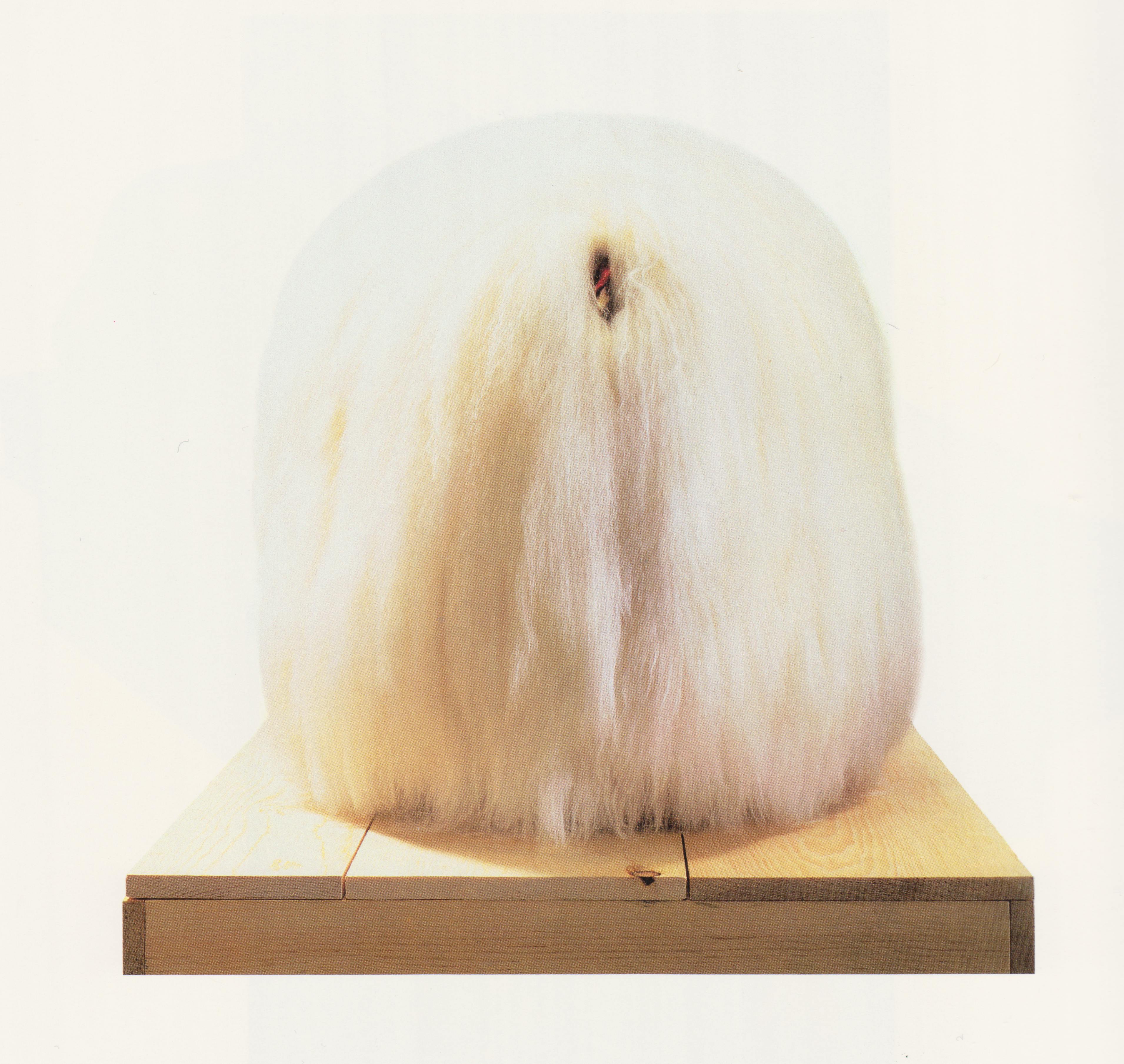 Meyer Vaisman, Untitled Turkey XIV, 1992, Icelandic lambswool, chicken wire, stuffed Turkey, mixed media on wood, 63 x 30 x 31 inches with base