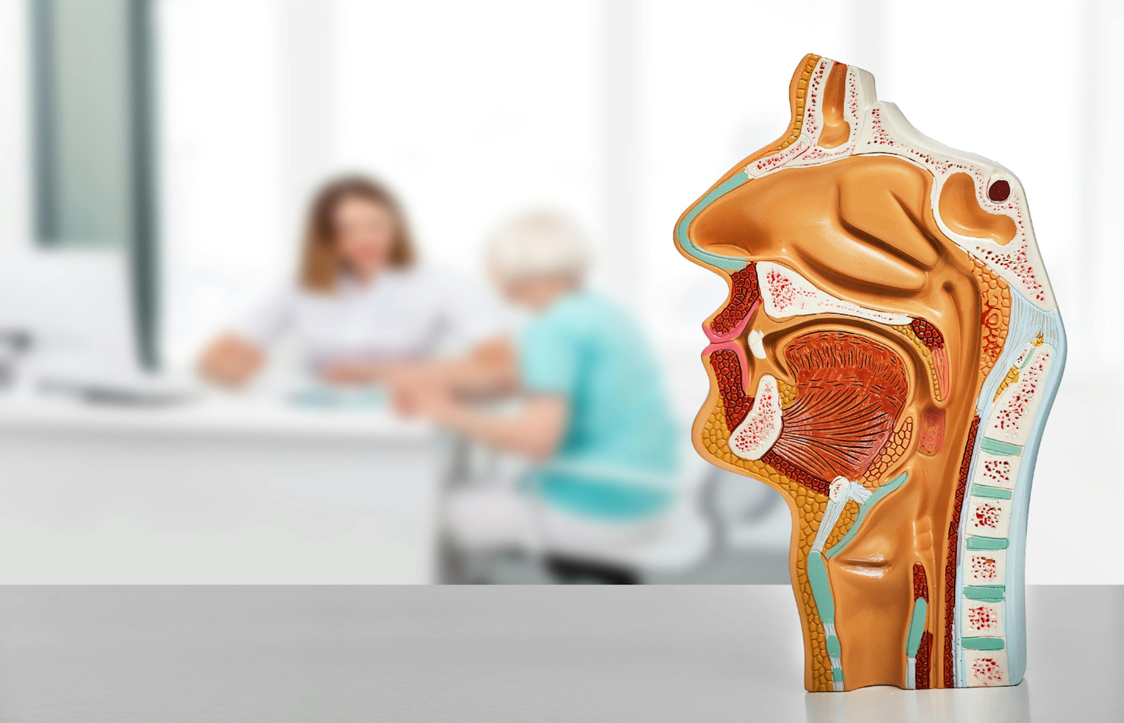 Model of the oral and nasal cavity, and throat to show LPR