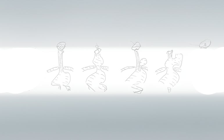 types of hiatus hernias