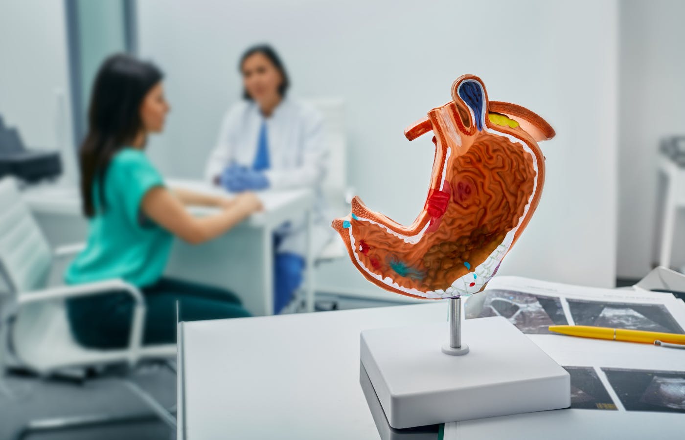 doctor and patient with a model of a stomach