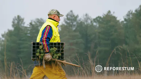 Image associated with Reforestum