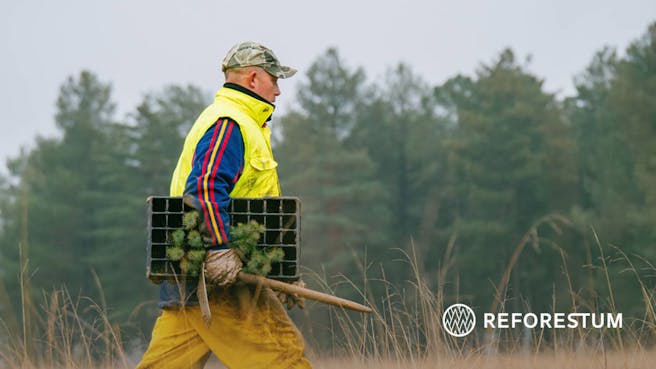 Image associated withReforestum