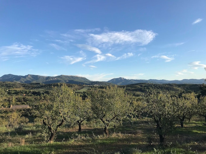 El Priorat, Tarragona