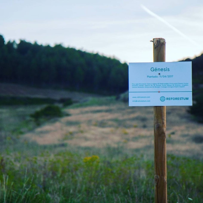 A sign that says Genesis with a forest in the background