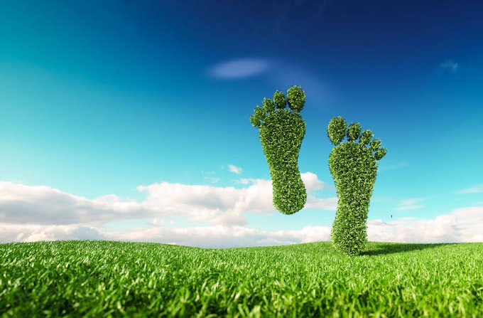 Rendering of a footprint formed by vegetation