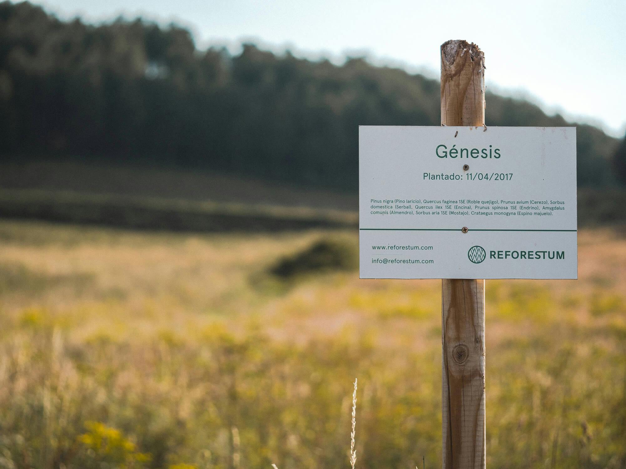 Sign identifying our first forest, Genesis.