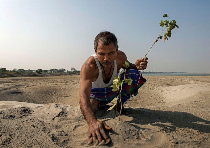 Jadav plantando uno de sus arboles