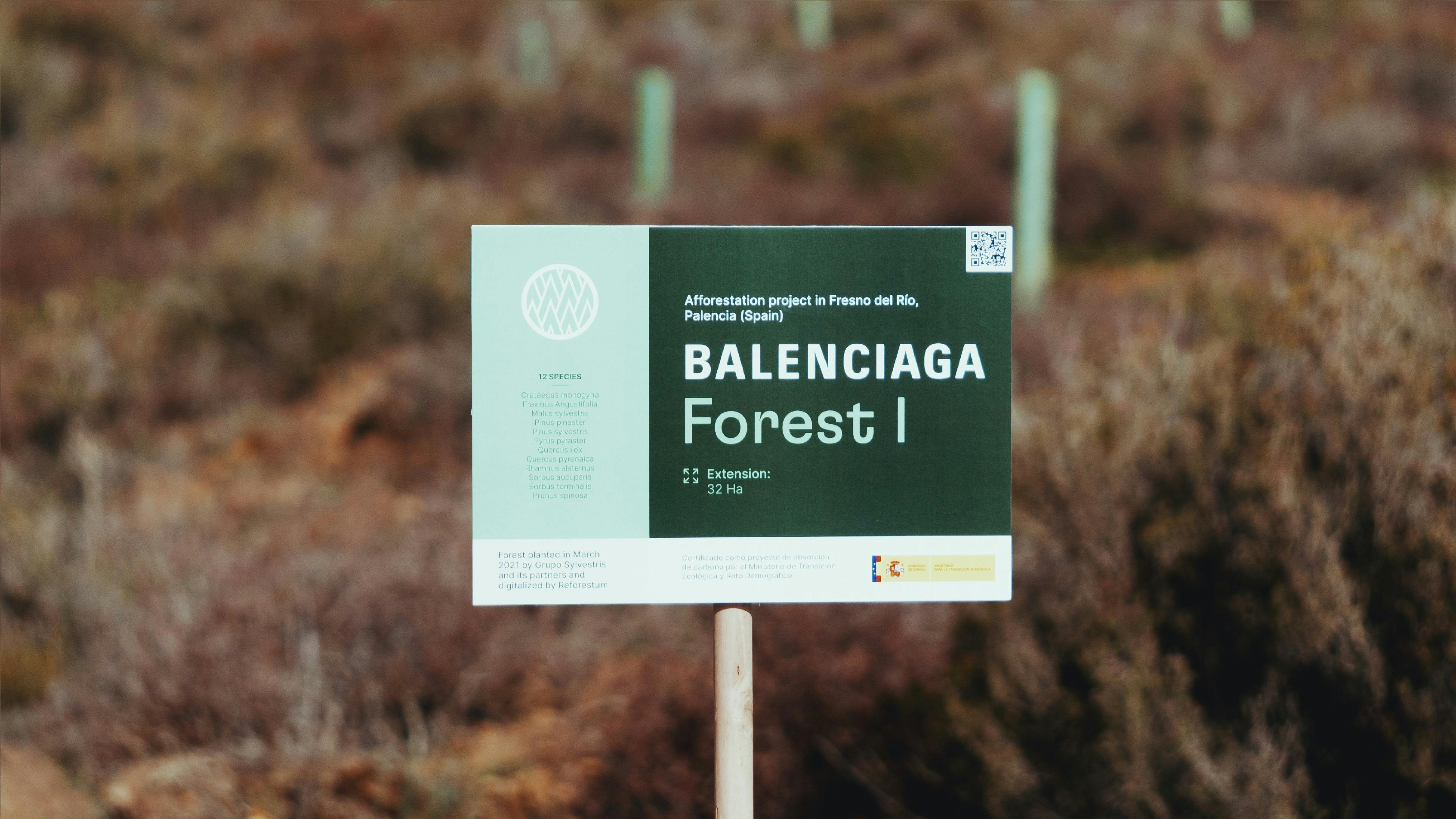 Boghandel mekanisme Forskel Case study Balenciaga and Reforestum