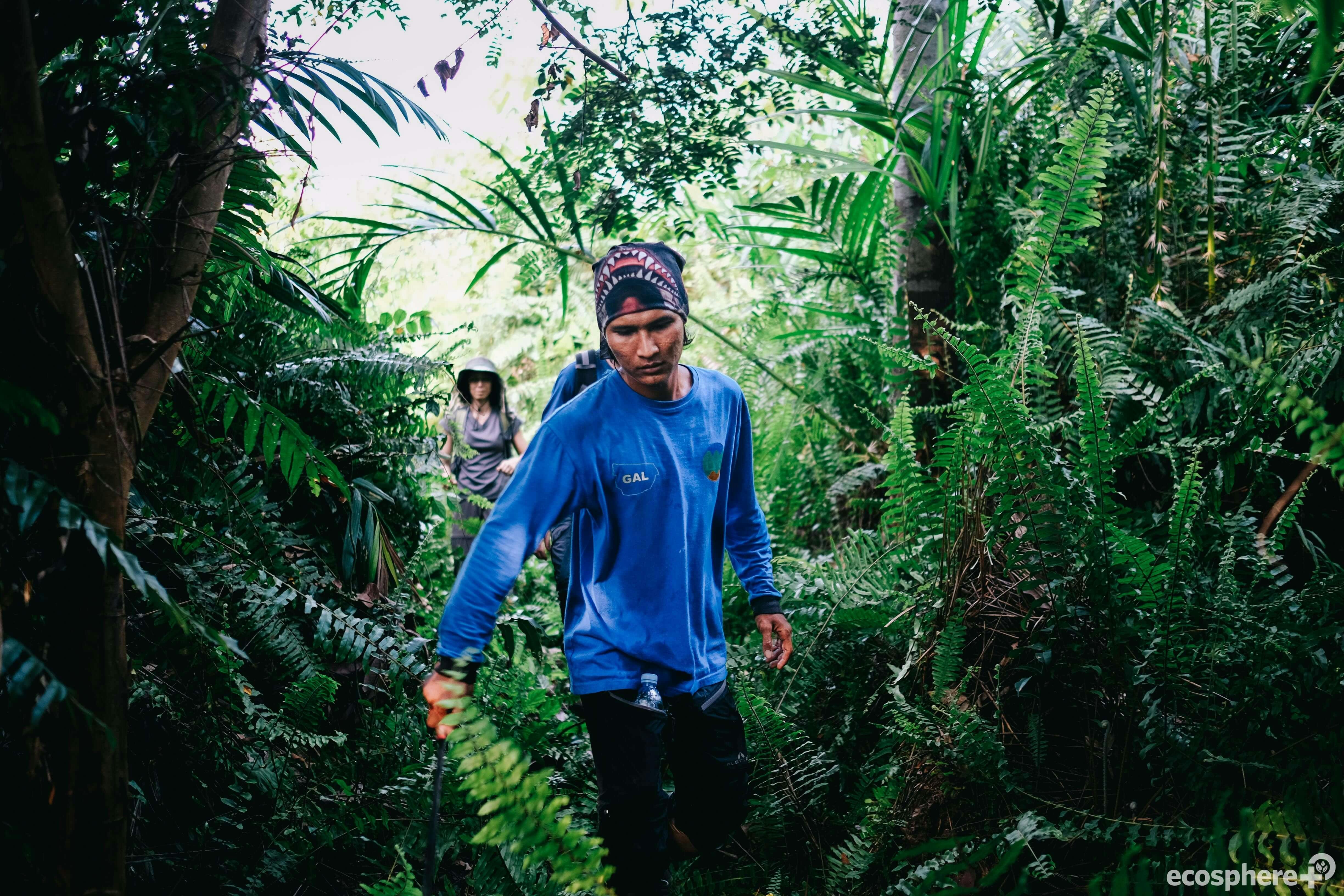 A man walks through the vegetation in Sumatra Merang