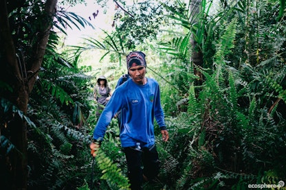 Un hombre anda entre la vegetación en Sumatra Merang