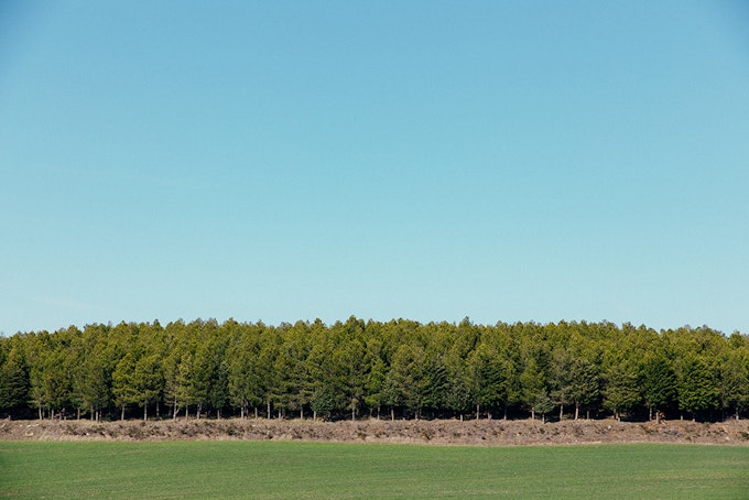 Ecotone
