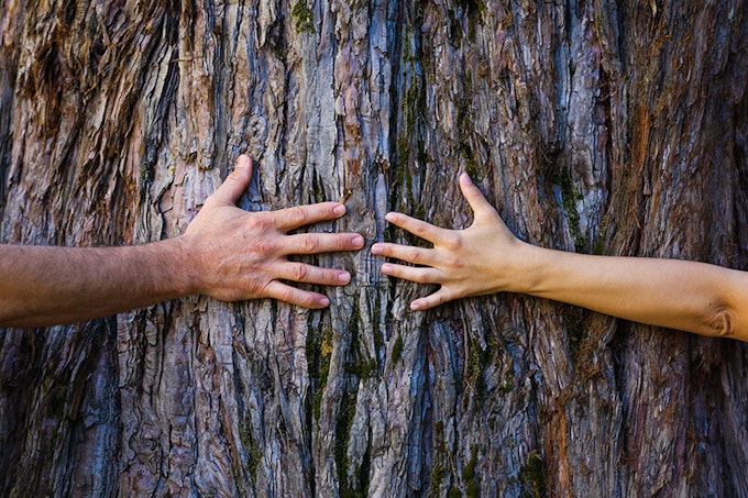 two people hugging a tree