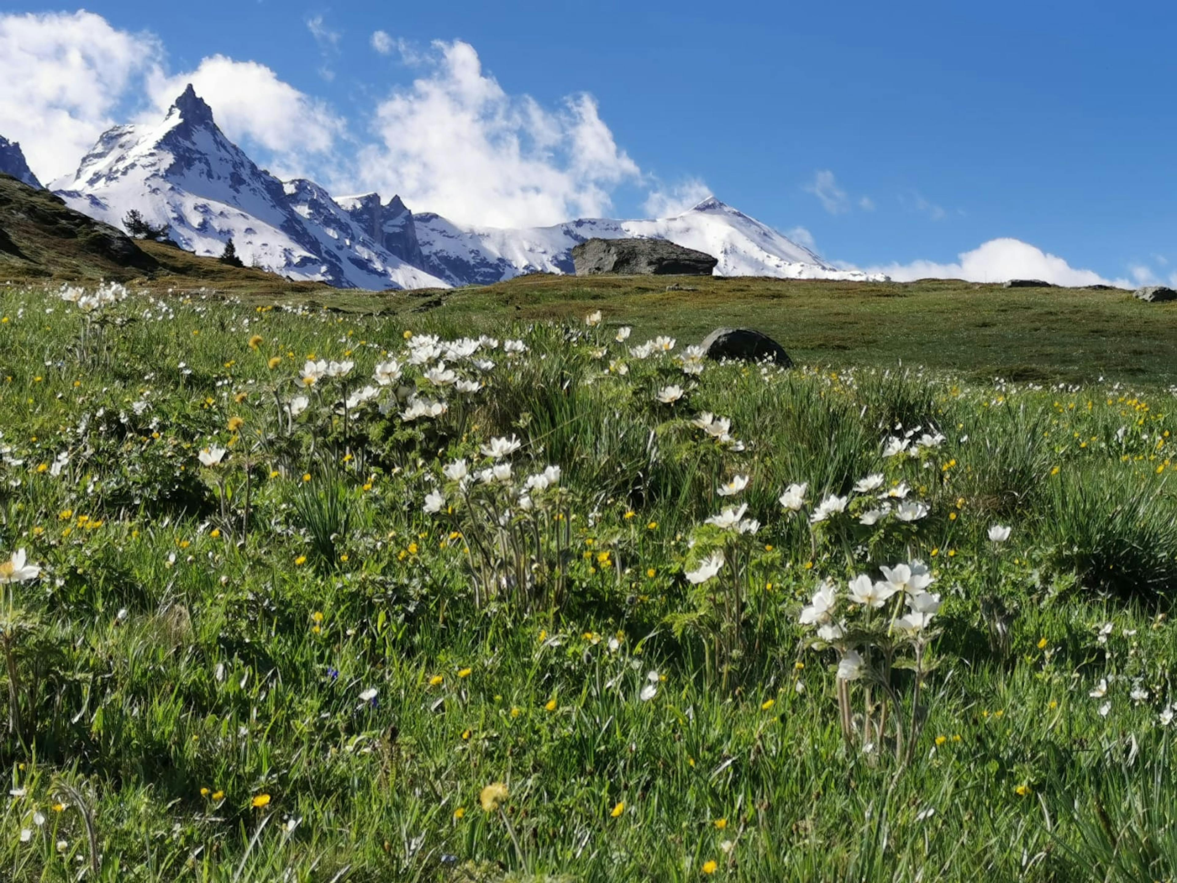 Col Petit Mont Cenis