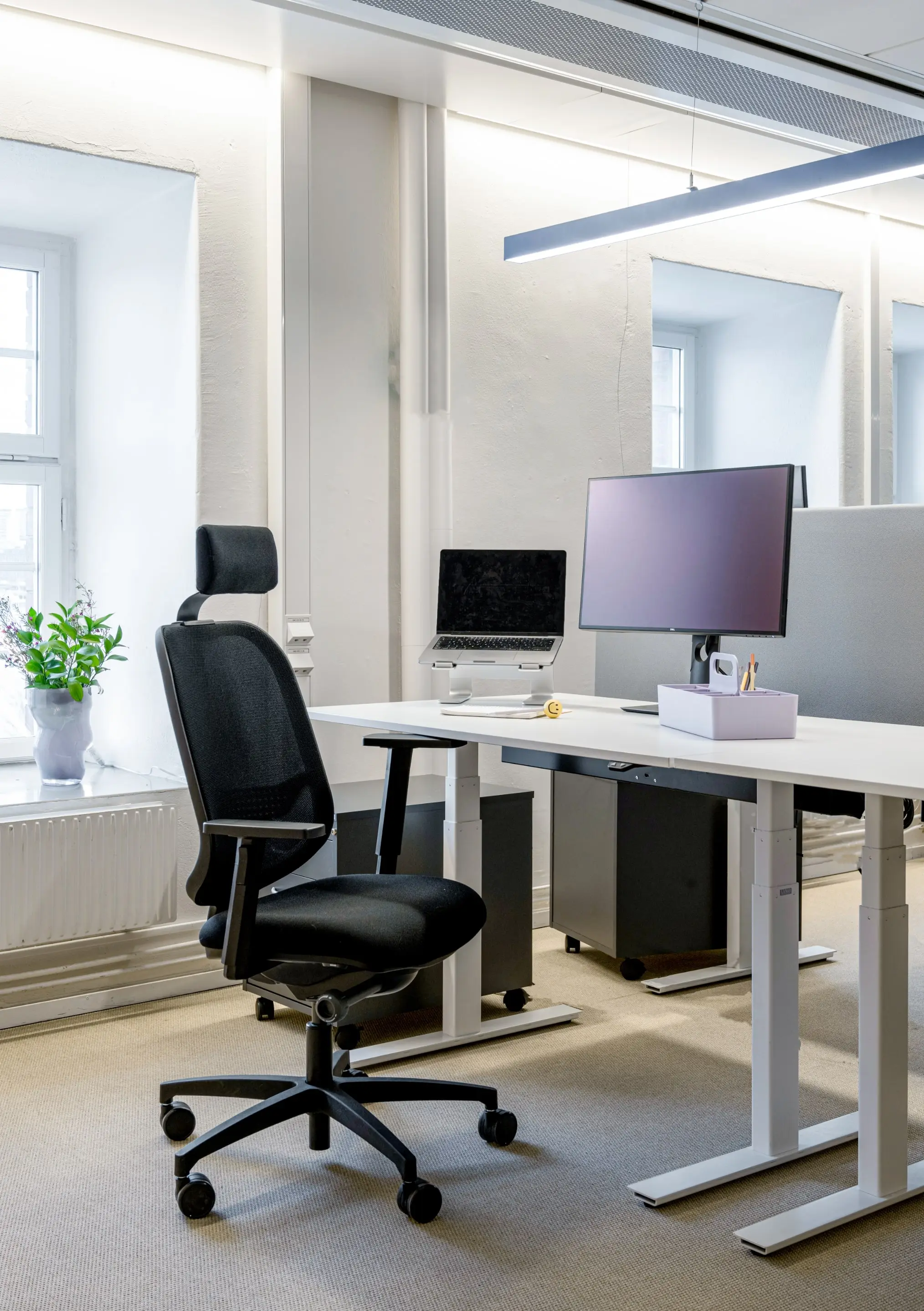 ALEXIS office