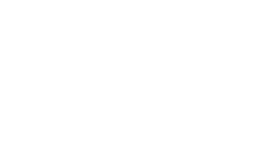 Logga pleo