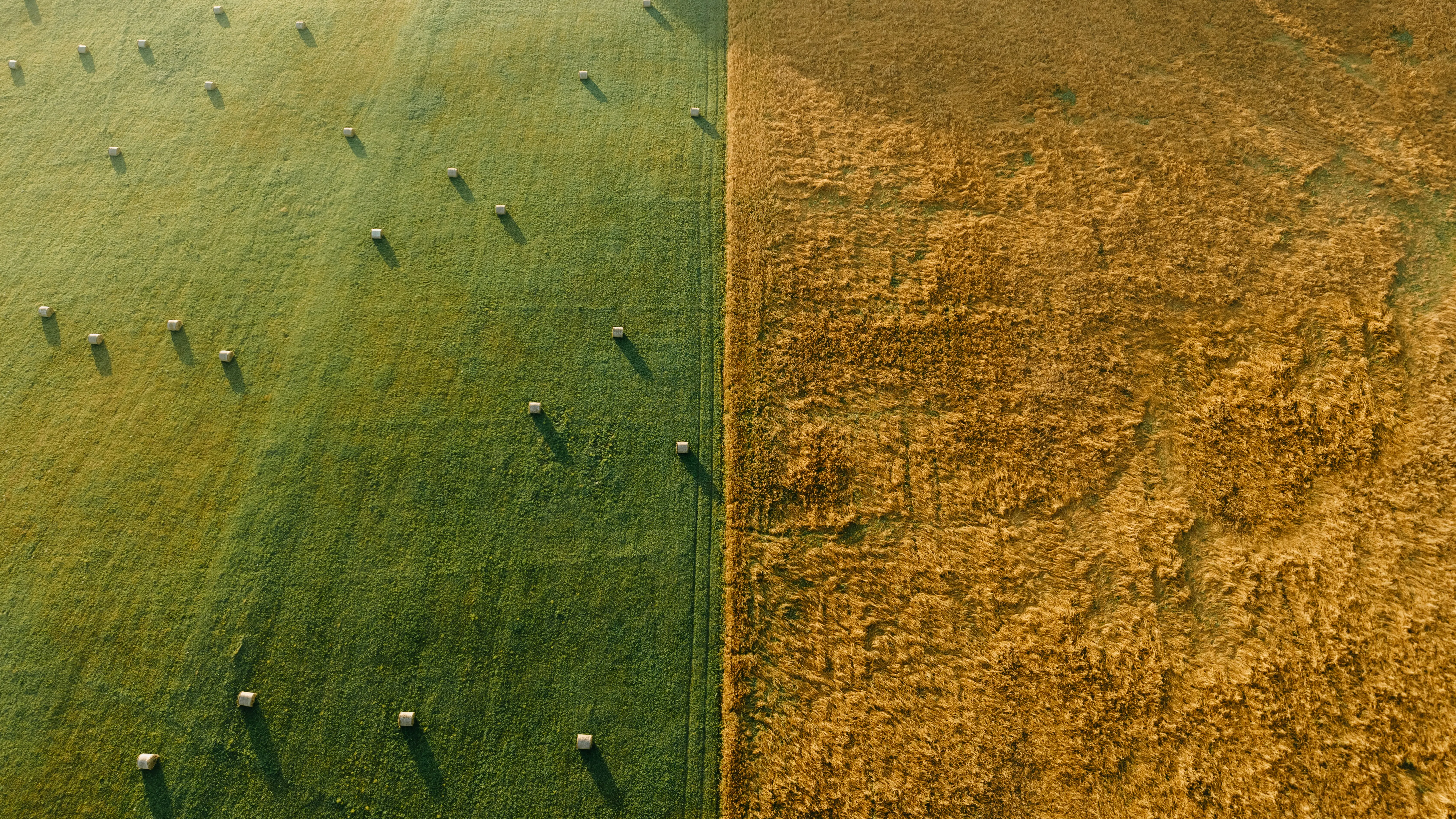 Comercial Agrícola Riojana S.A.