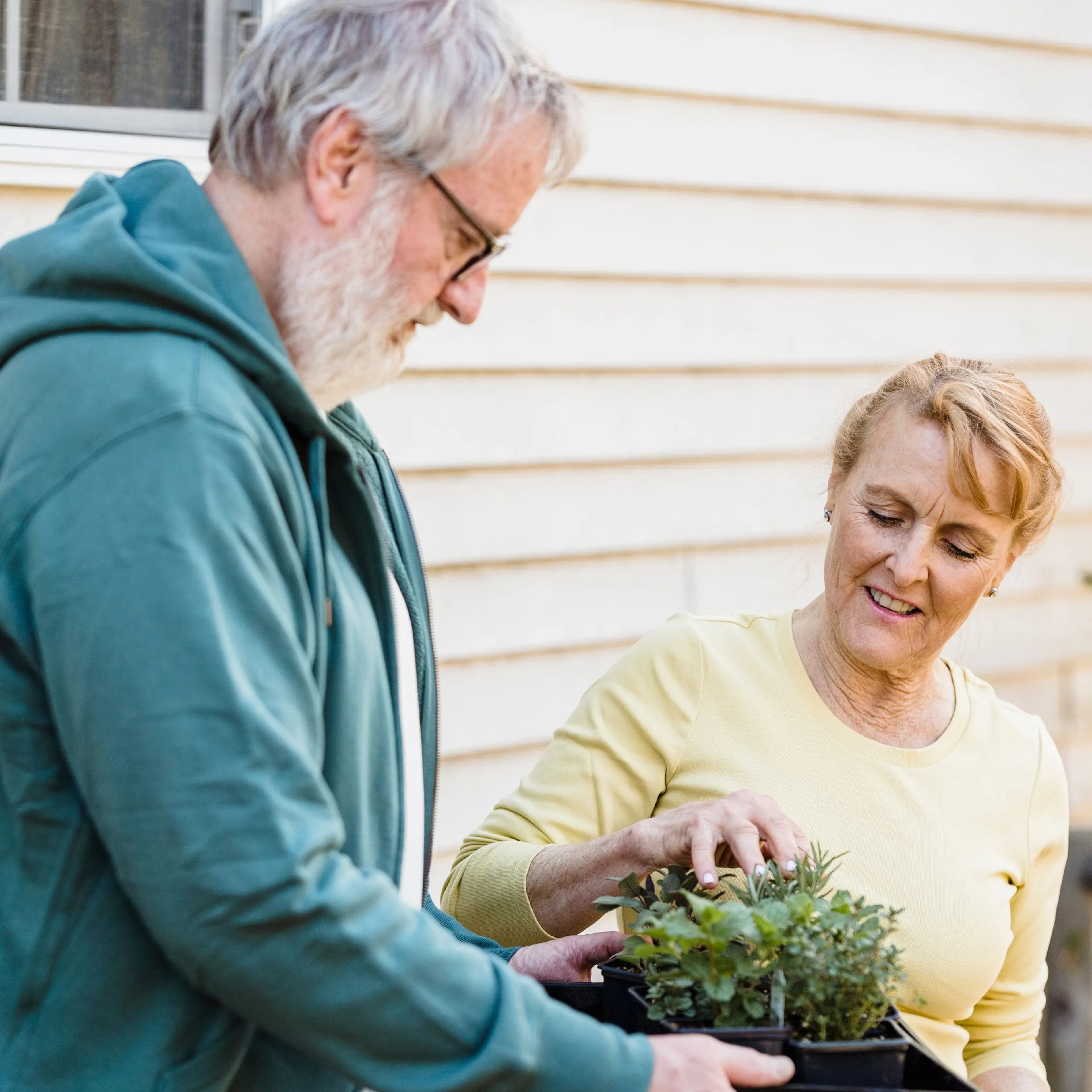 Older man and woman touching seedlings in a tray, a sensory part of garden therapy