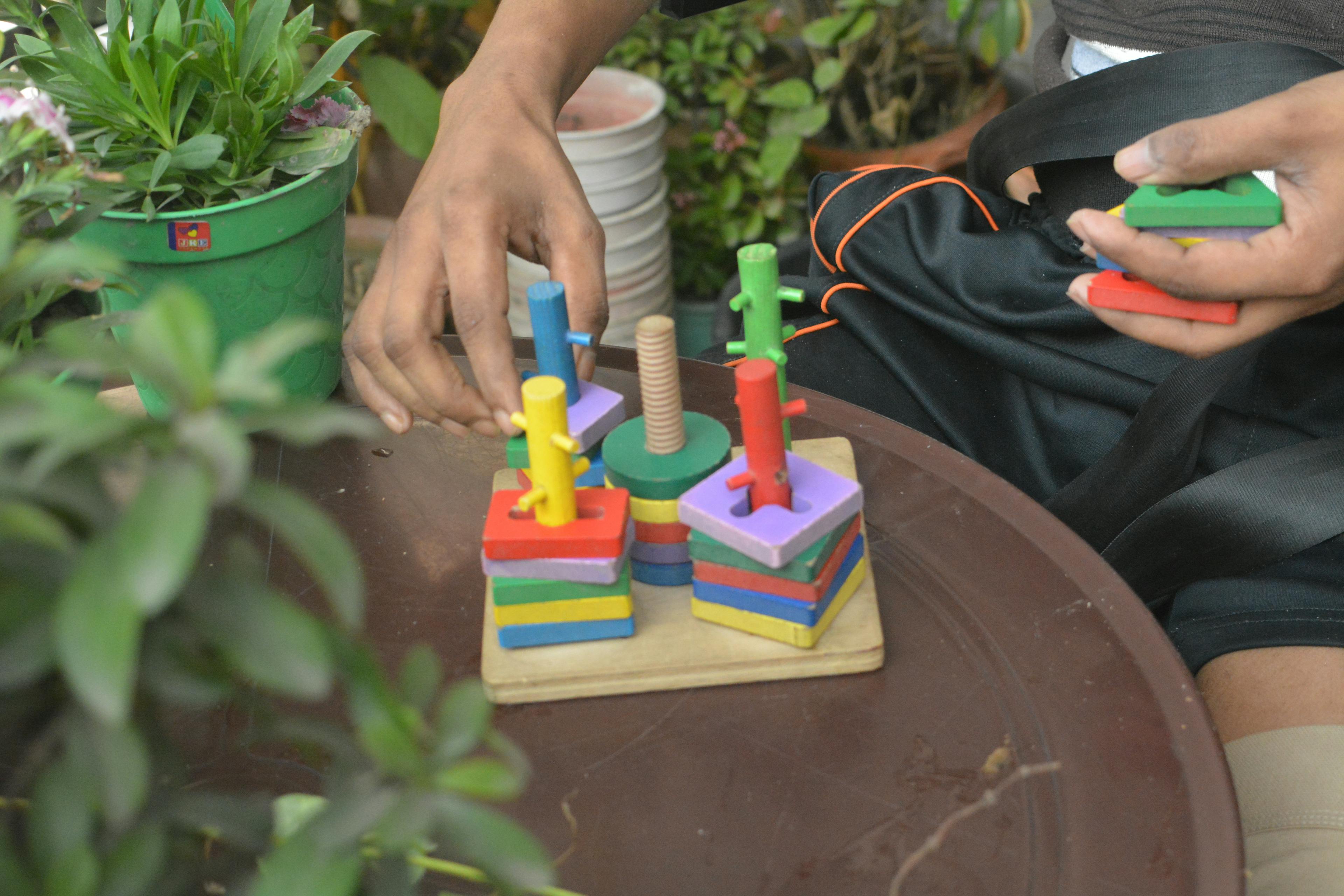 Understanding Neurogenomics