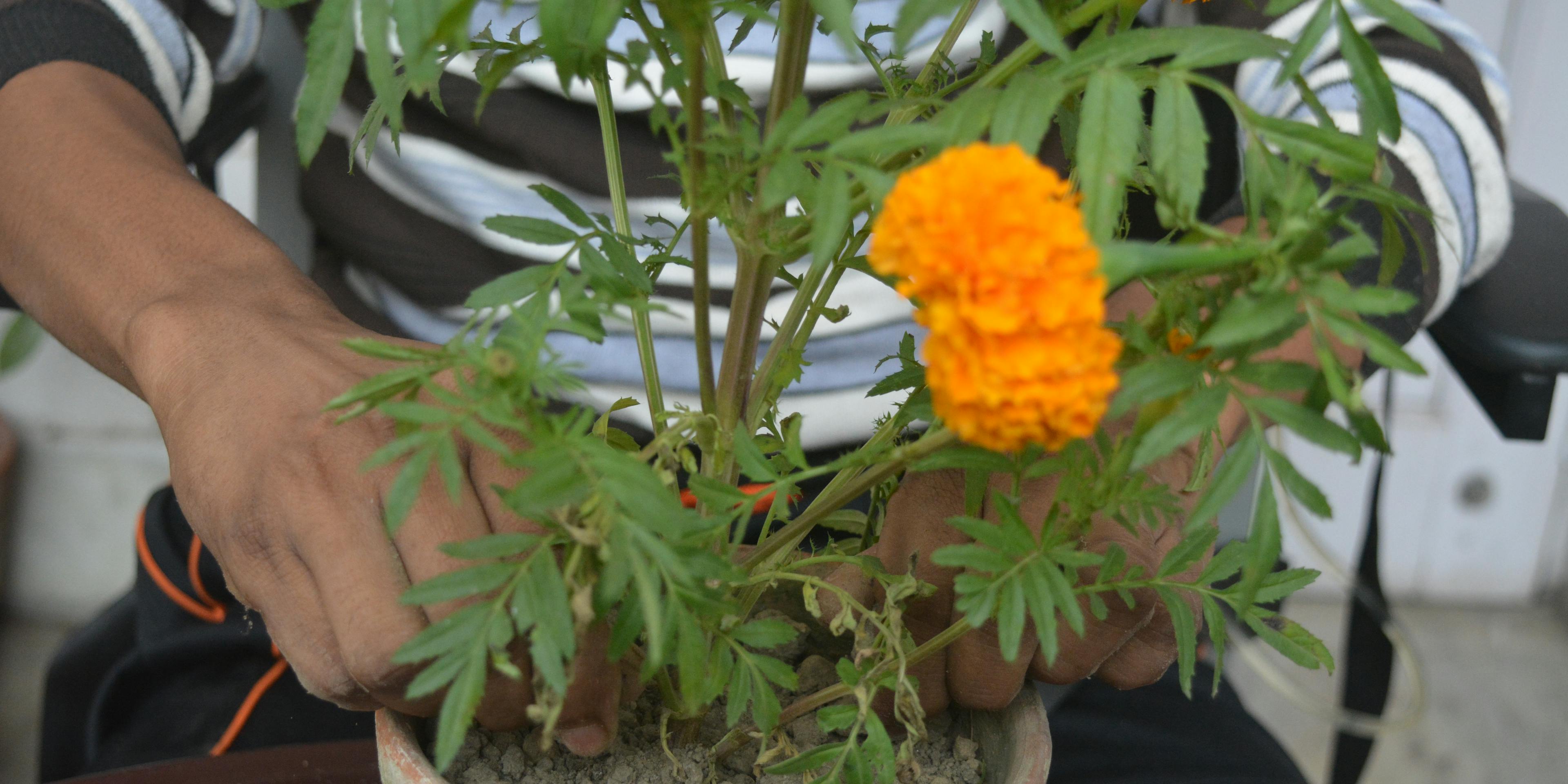 Garden Therapy in Kolkata