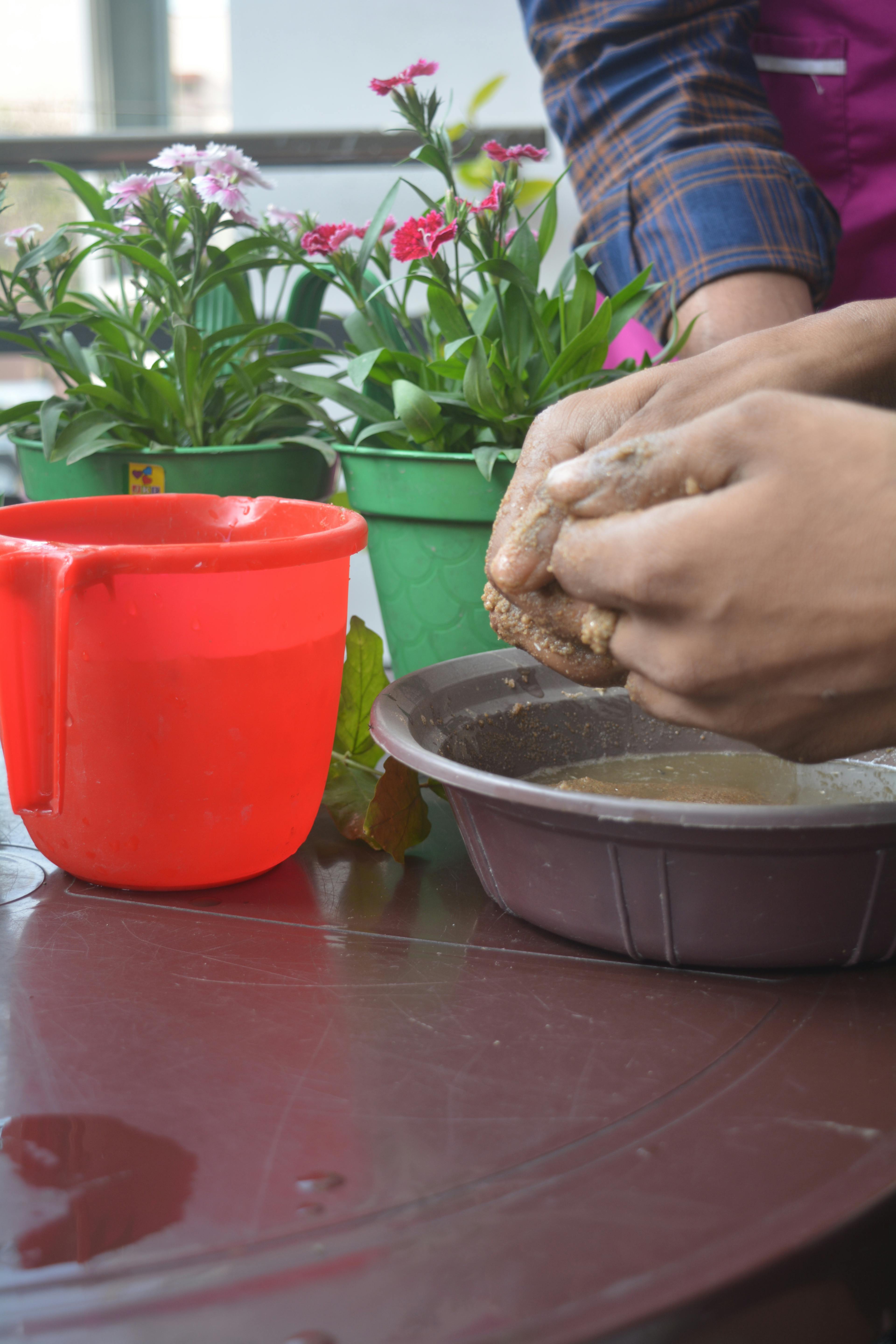 Garden Therapy in Kolkata