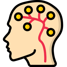 Enhanced Neuroplasticity