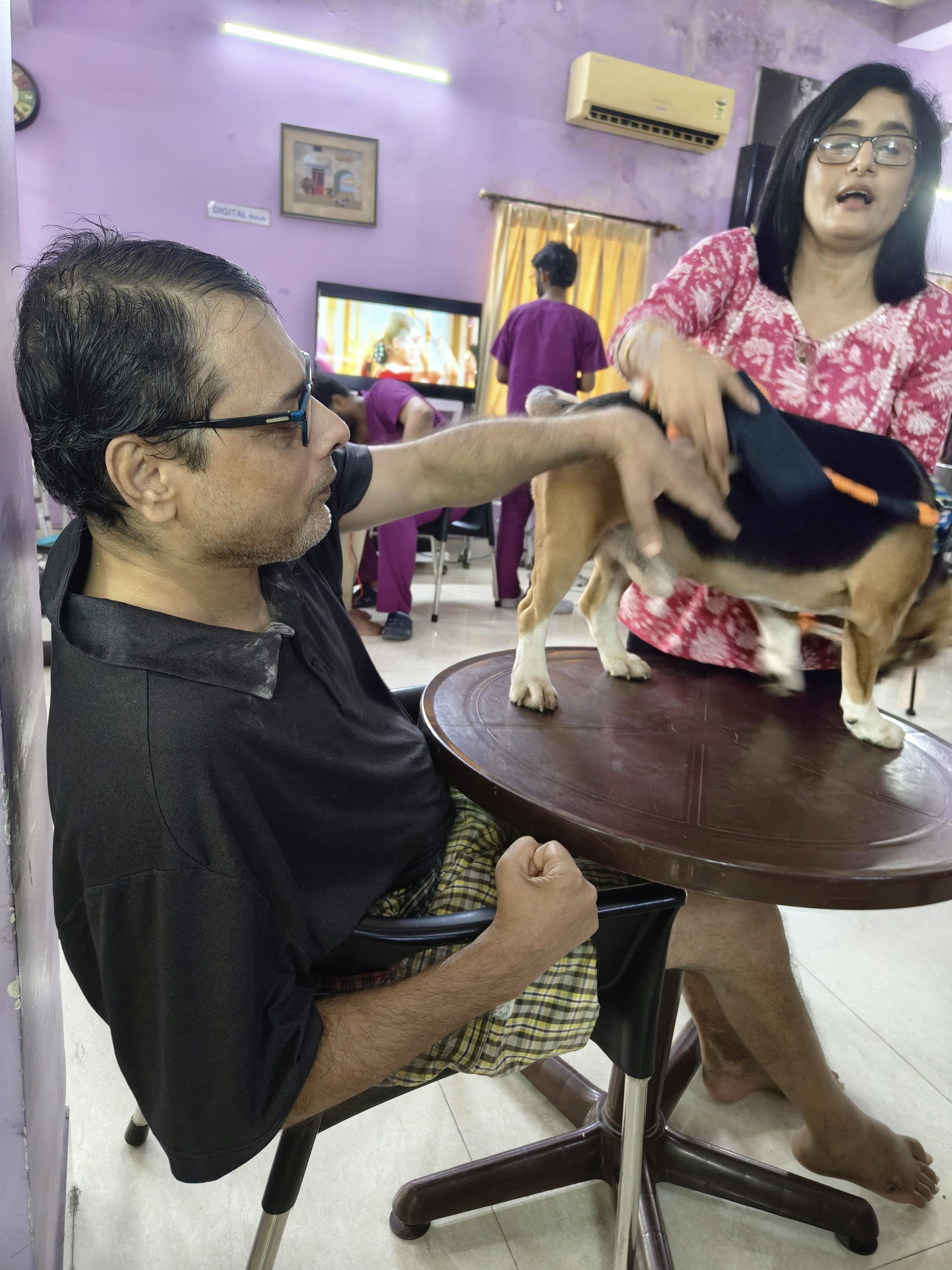 Animal Assisted Therapy