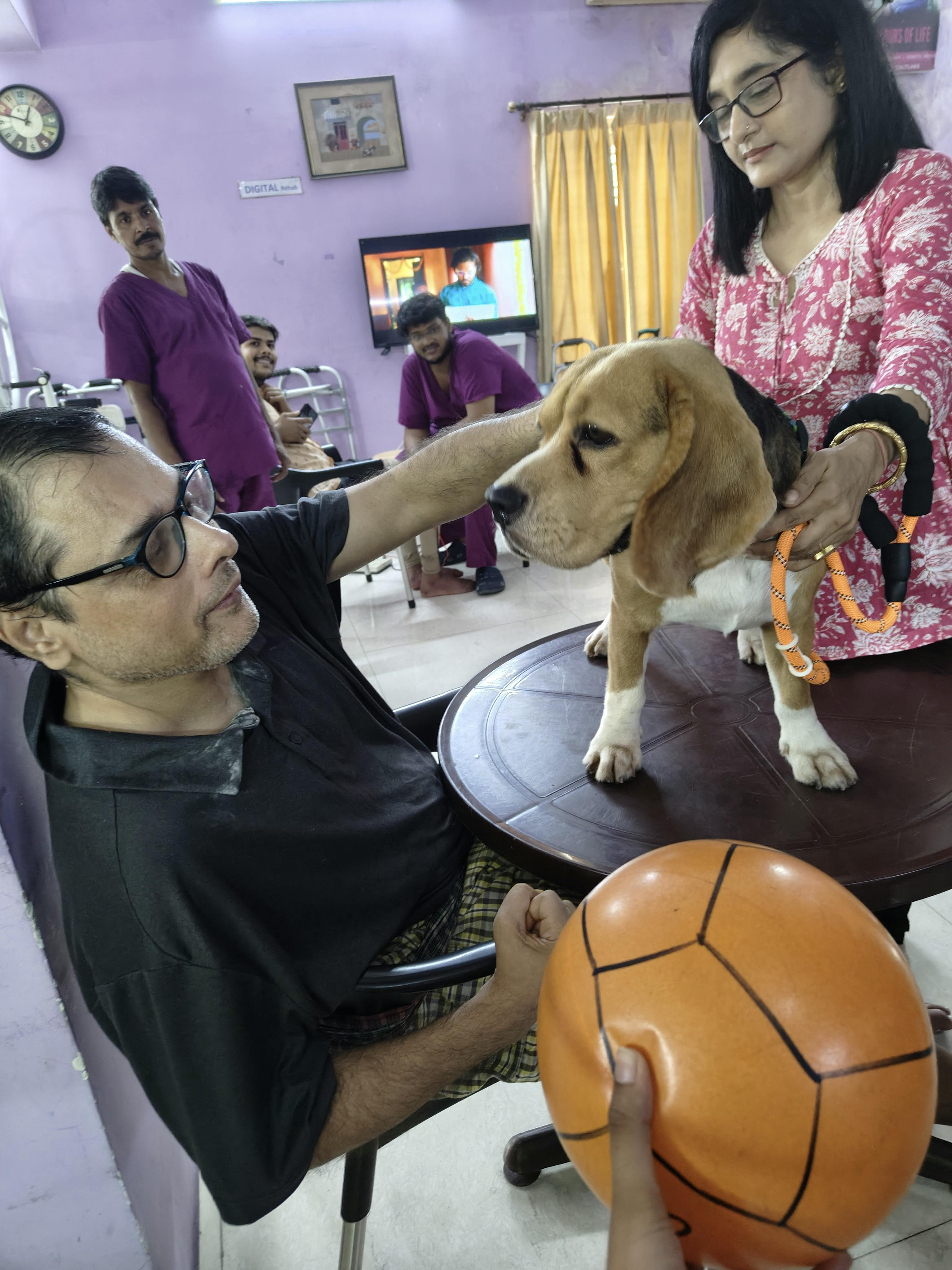 Animal Assisted Therapy