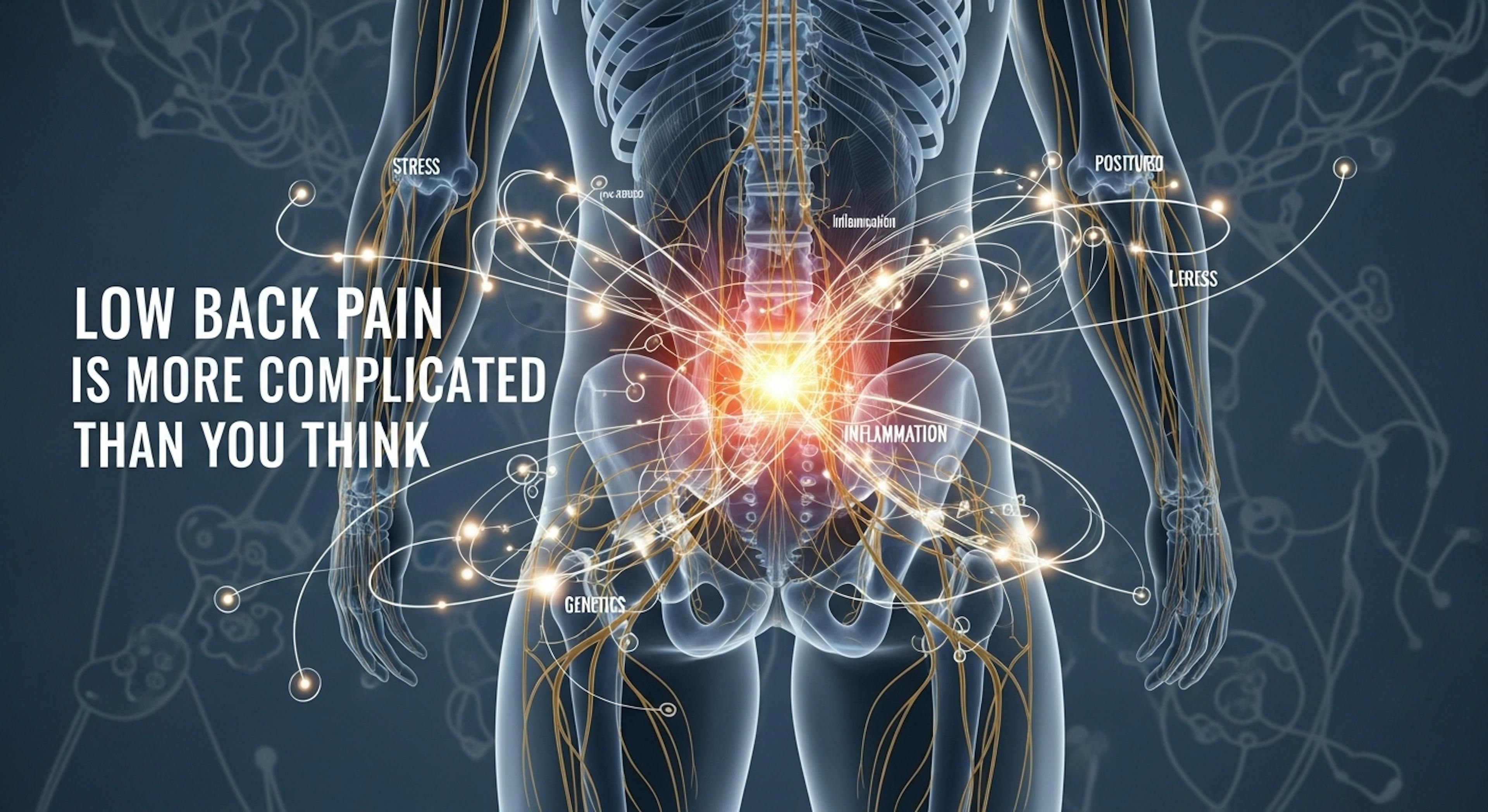 Low Back Pain Is More Complicated Than You Think