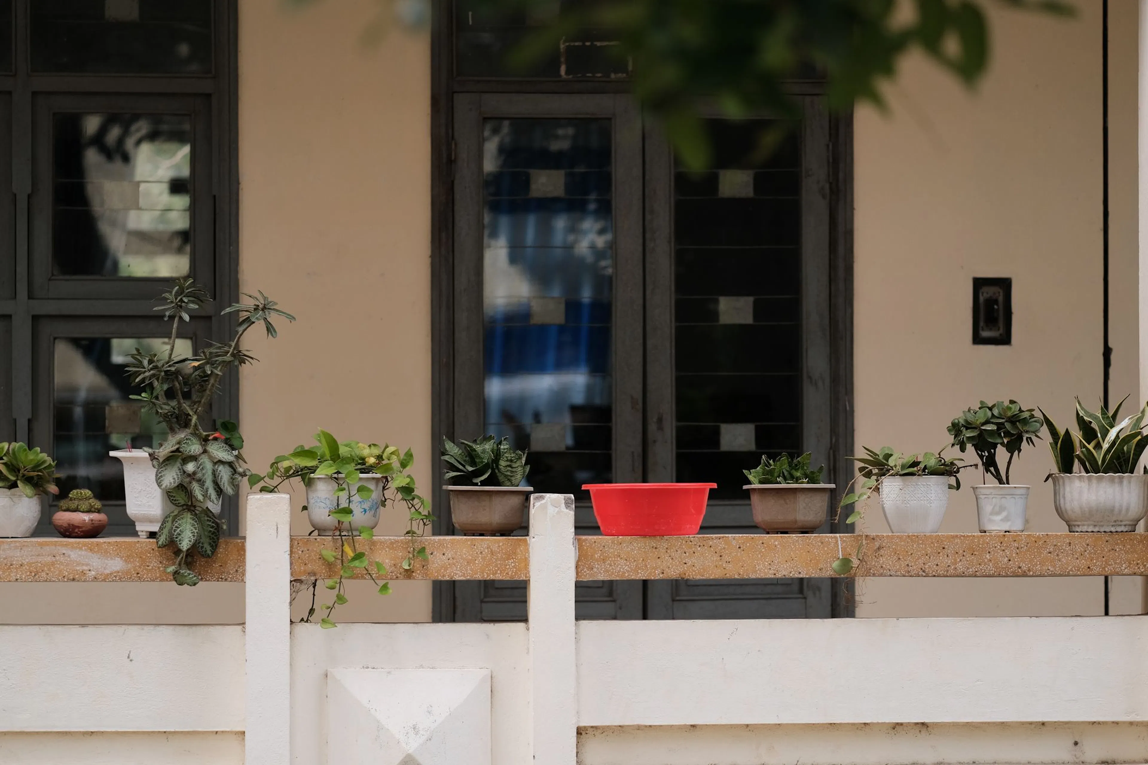 Potted plants on a home balcony, a simple setup for garden therapy at home